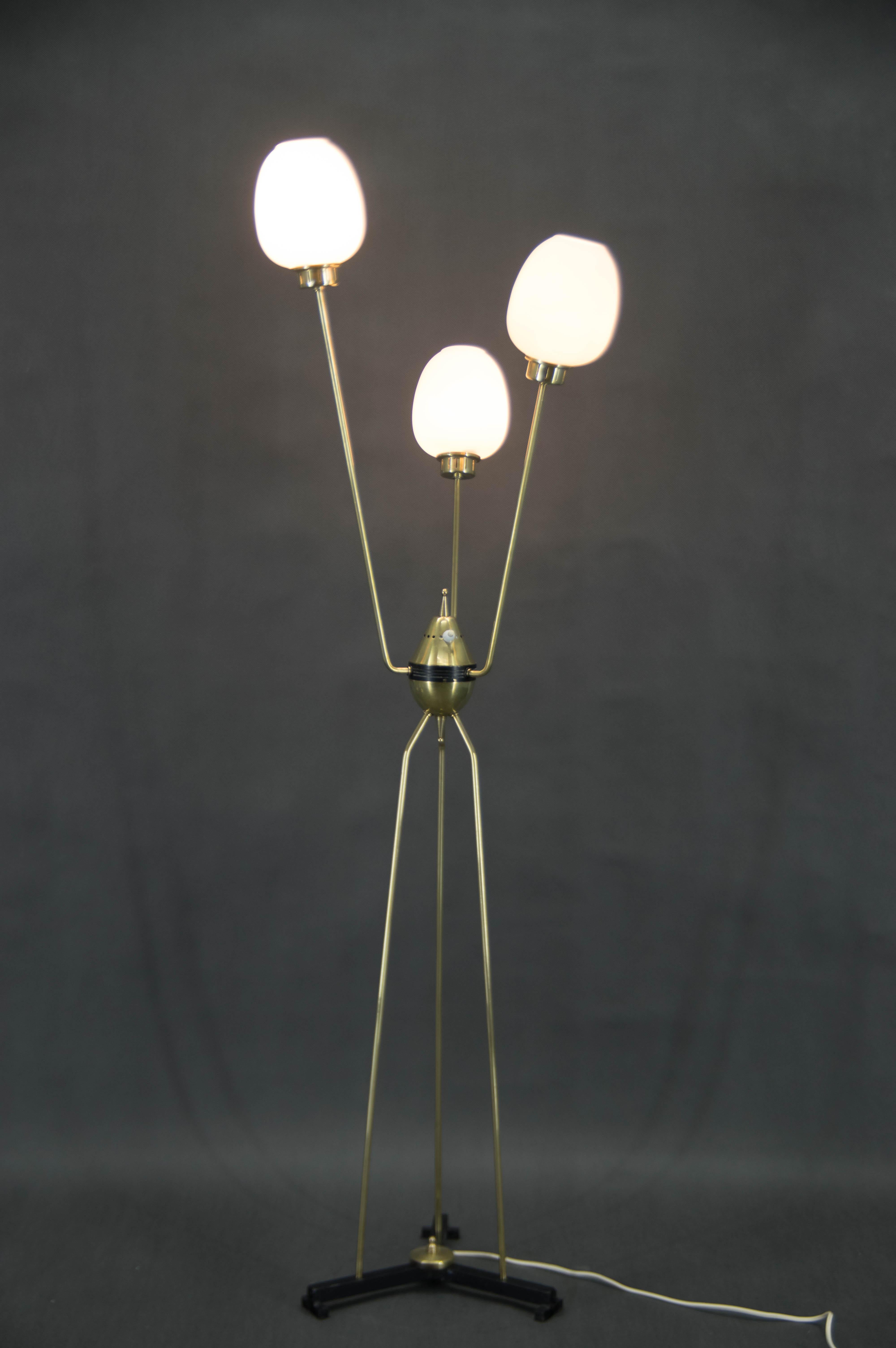 Italian Mid-Century Floor Lamp, Italy, 1960s For Sale