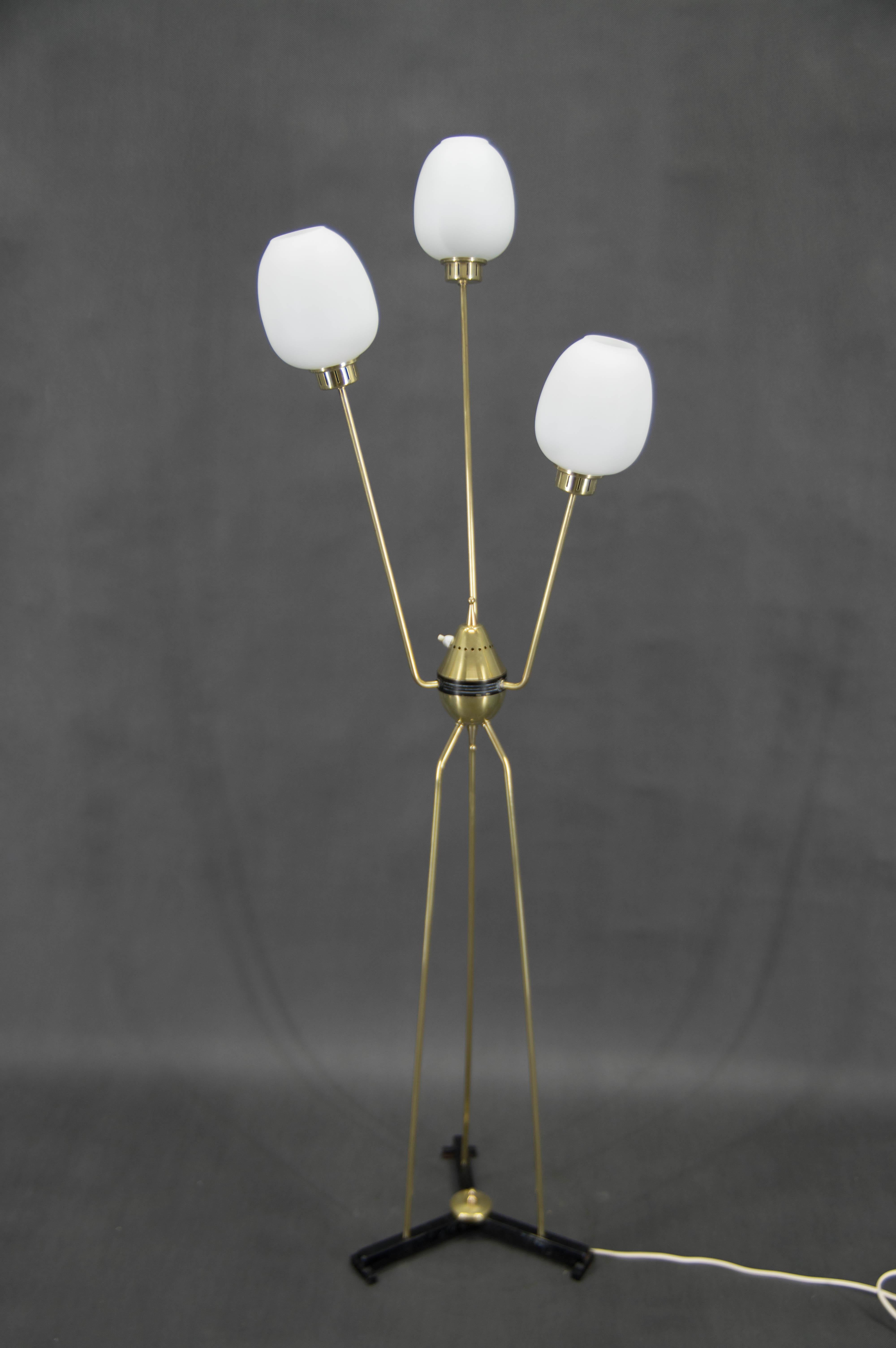 Mid-Century Floor Lamp, Italy, 1960s For Sale 1