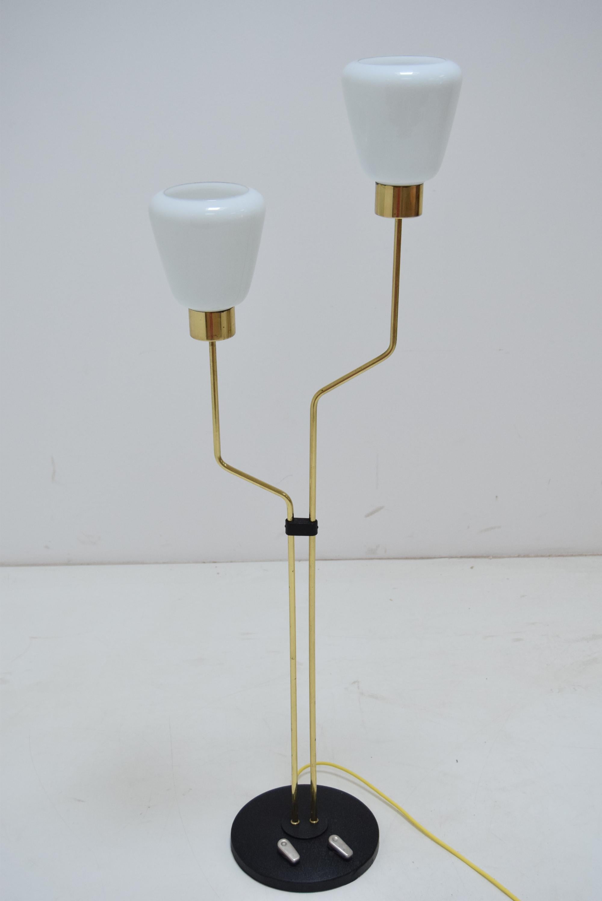 Mid-Century Modern Mid-Century Floor Lamp/Lidokov, 1960‘s