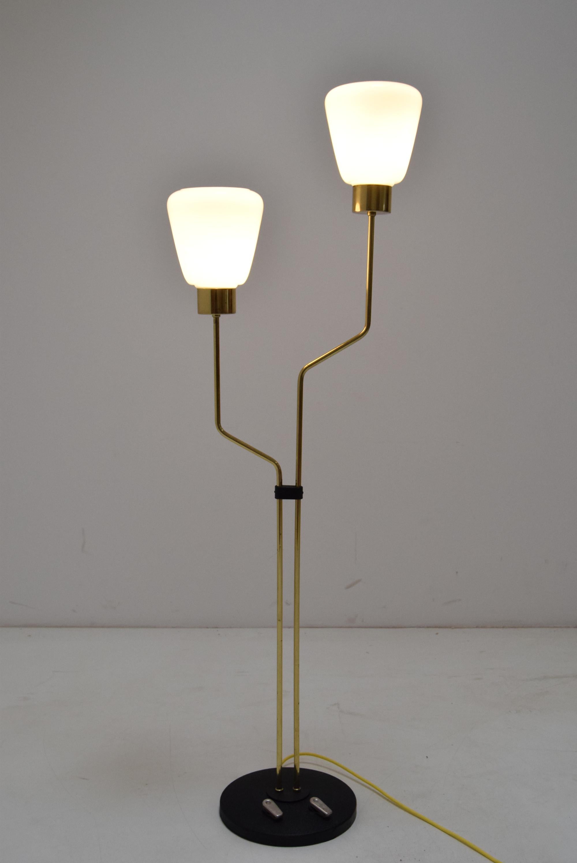 Czech Mid-Century Floor Lamp/Lidokov, 1960‘s