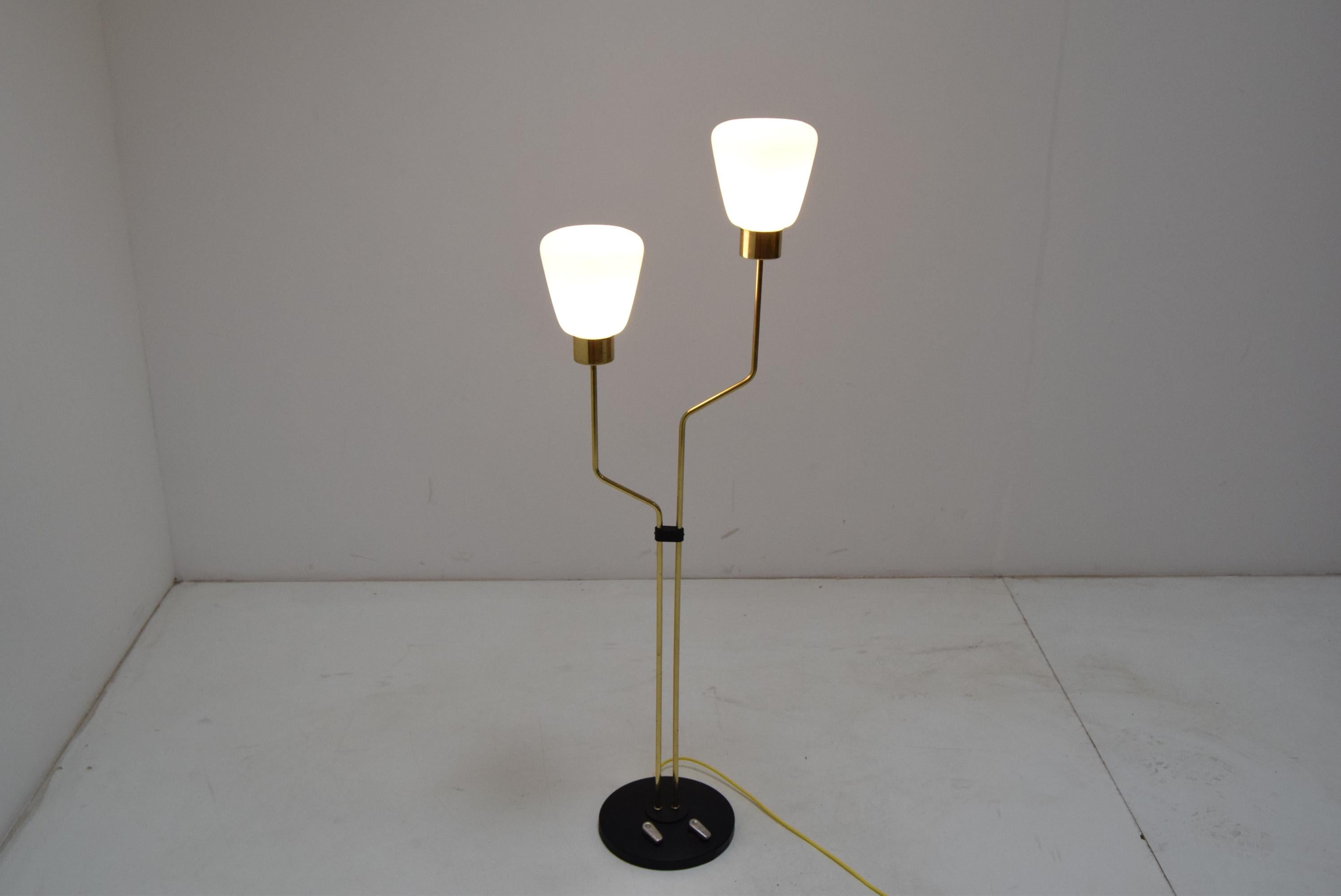 Mid-20th Century Mid-Century Floor Lamp/Lidokov, 1960‘s