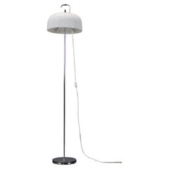 Floor Lamps