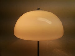Mid-Century Floor Lamp / Napako, 1950's