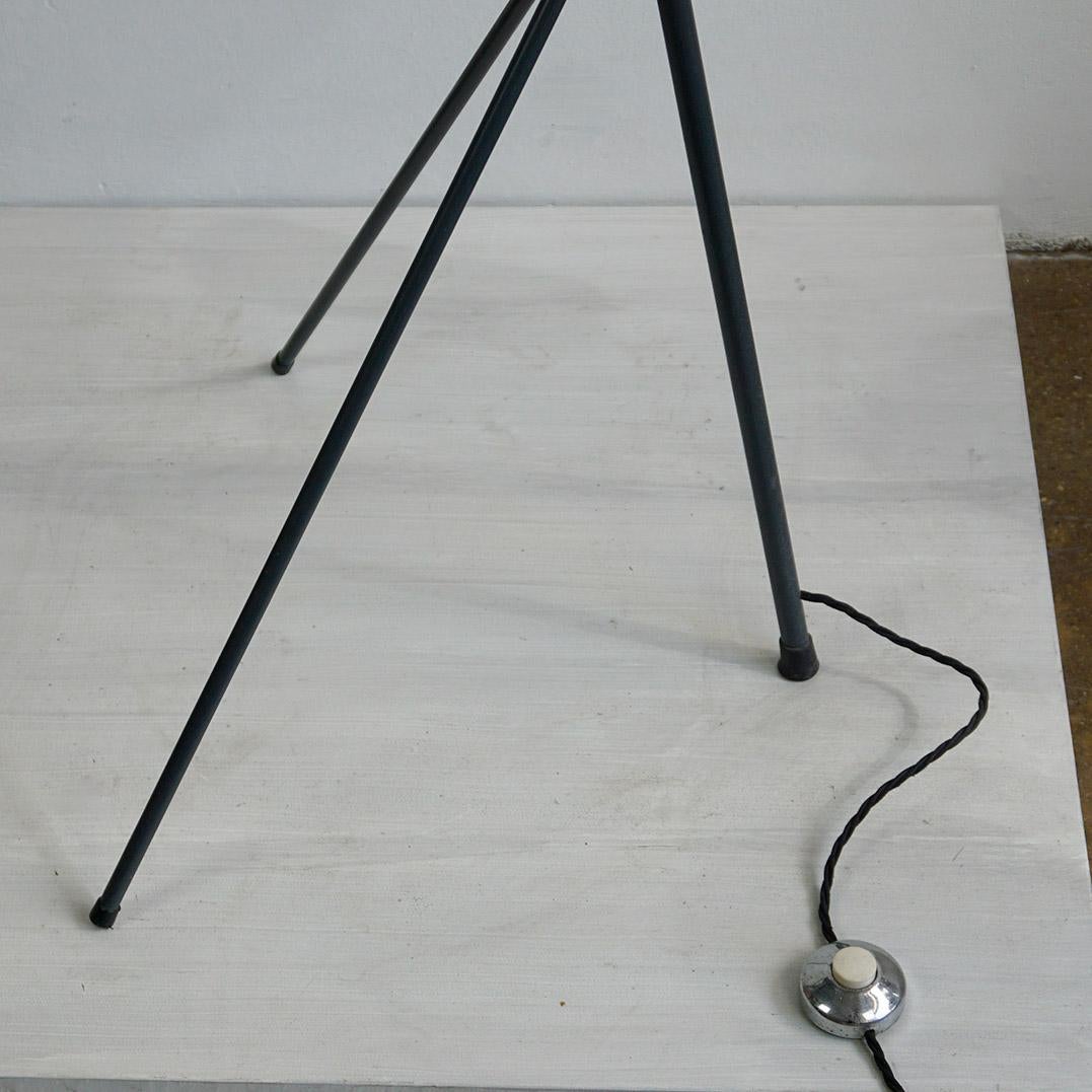 Lacquered Mid Century Floor Lamp NX38 by Louis Kalff for Philips Netherlands For Sale