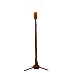 Lampadaire Mid-Century/ULUV, années 1950