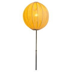 Mid-Century Floor Lamp with Sigmar Shade 1950s