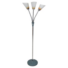 Retro Mid-Century Floor Lamp, Adjustable Shades, 1960's