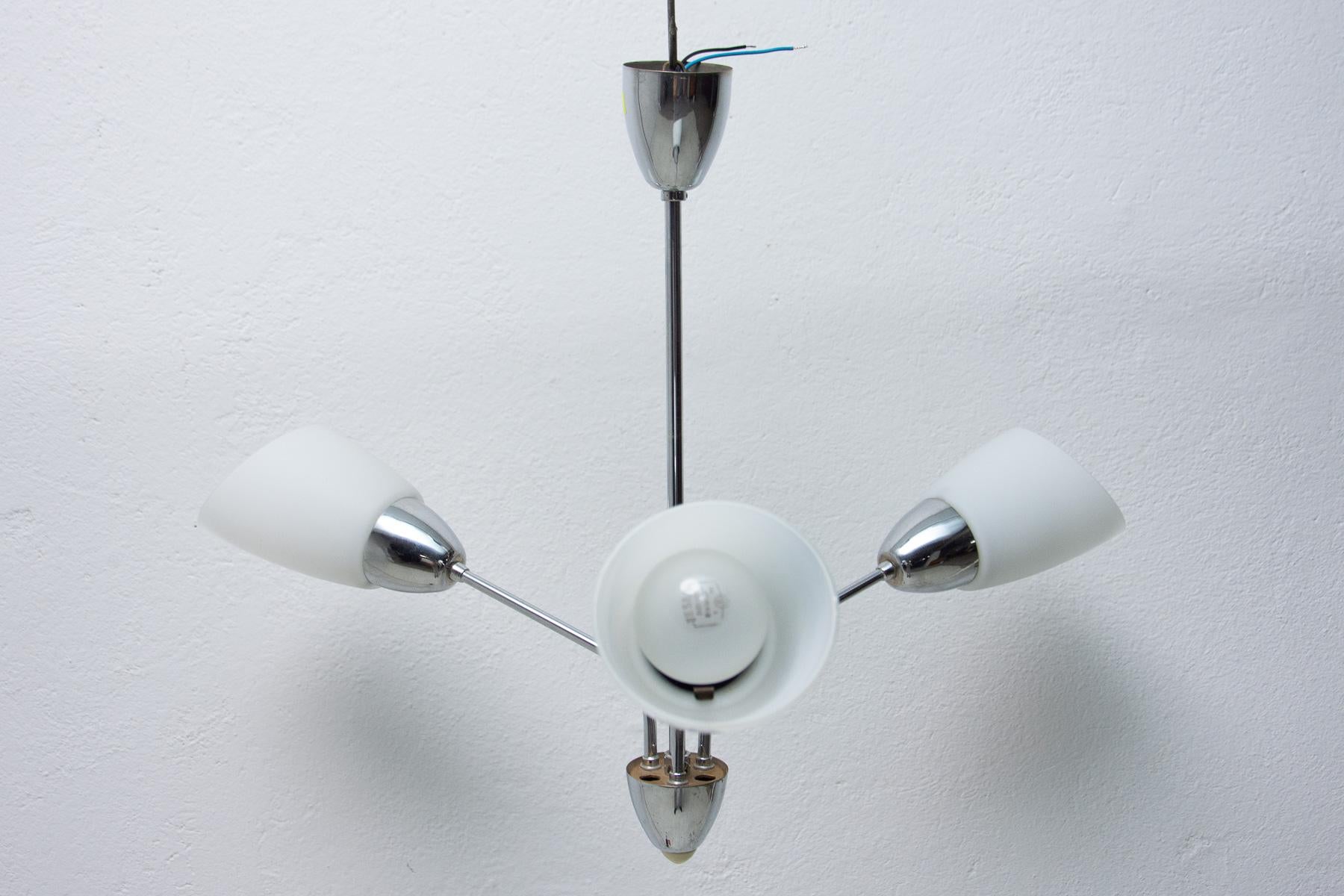 Czechoslovak milky glass and chrome pendant lamp in the shape of flower, made in the former Czechoslovakia in the 1960´s. It features 2 chrome arms with lampshades made of milky glass. In very good condition, new wiring.

Total height: 50