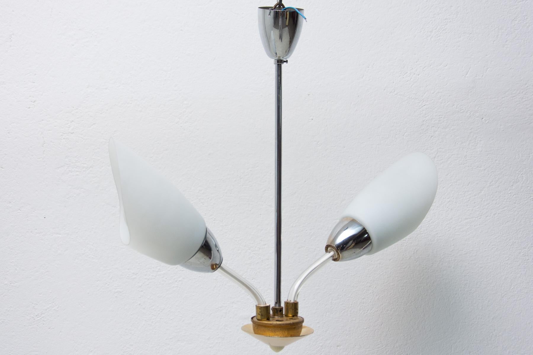 Mid-Century Flower Shaped Hanging Lamp, Czechoslovakia, 1960s For Sale 7