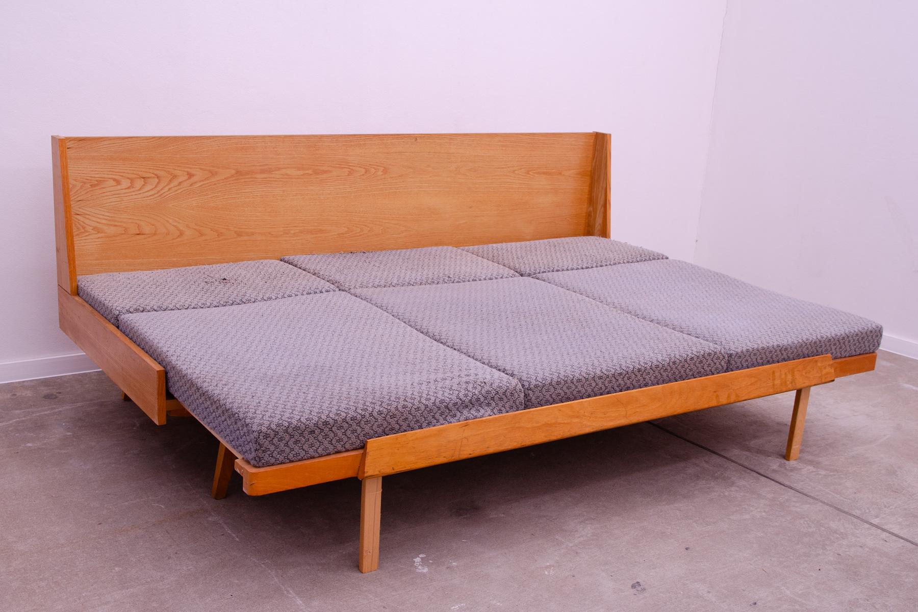 Canapé-lit pliant du milieu du siècle par Drevotvar, années 1970, Tchécoslovaquie 5