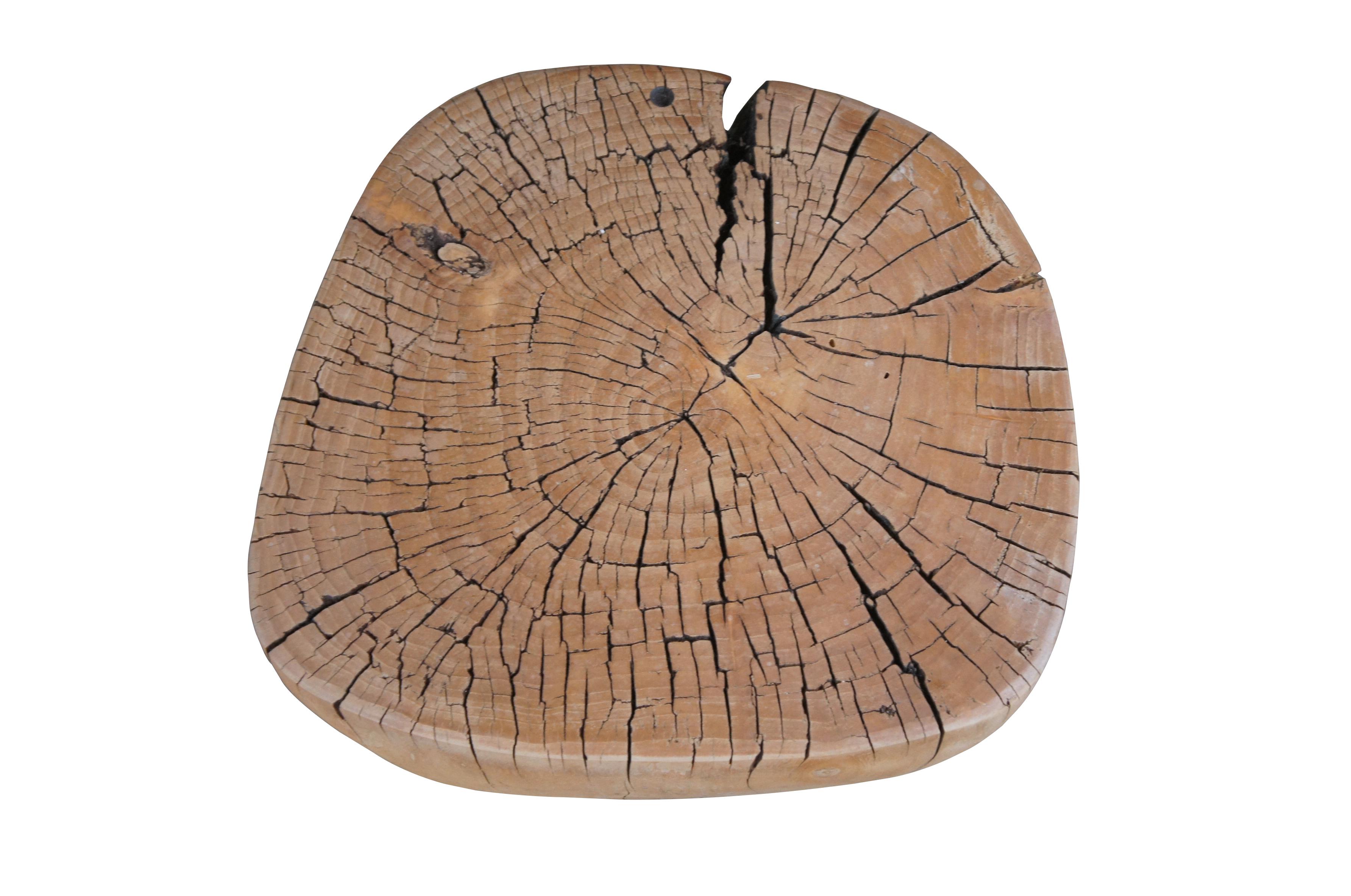 Rustic Midcentury Freeform Teak Root Side Accent Coffee Table Slab Stump Stool
