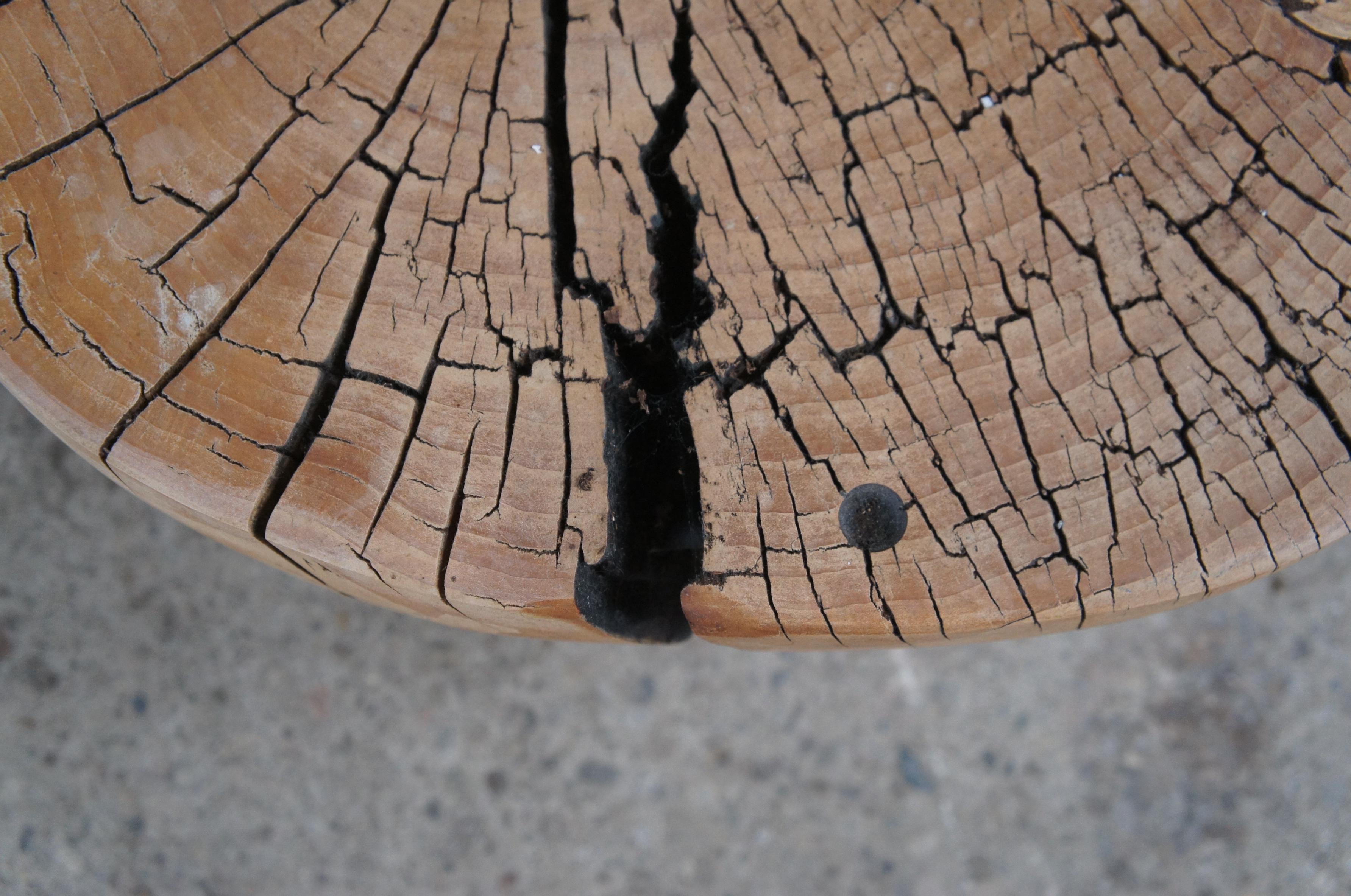 Midcentury Freeform Teak Root Side Accent Coffee Table Slab Stump Stool 2