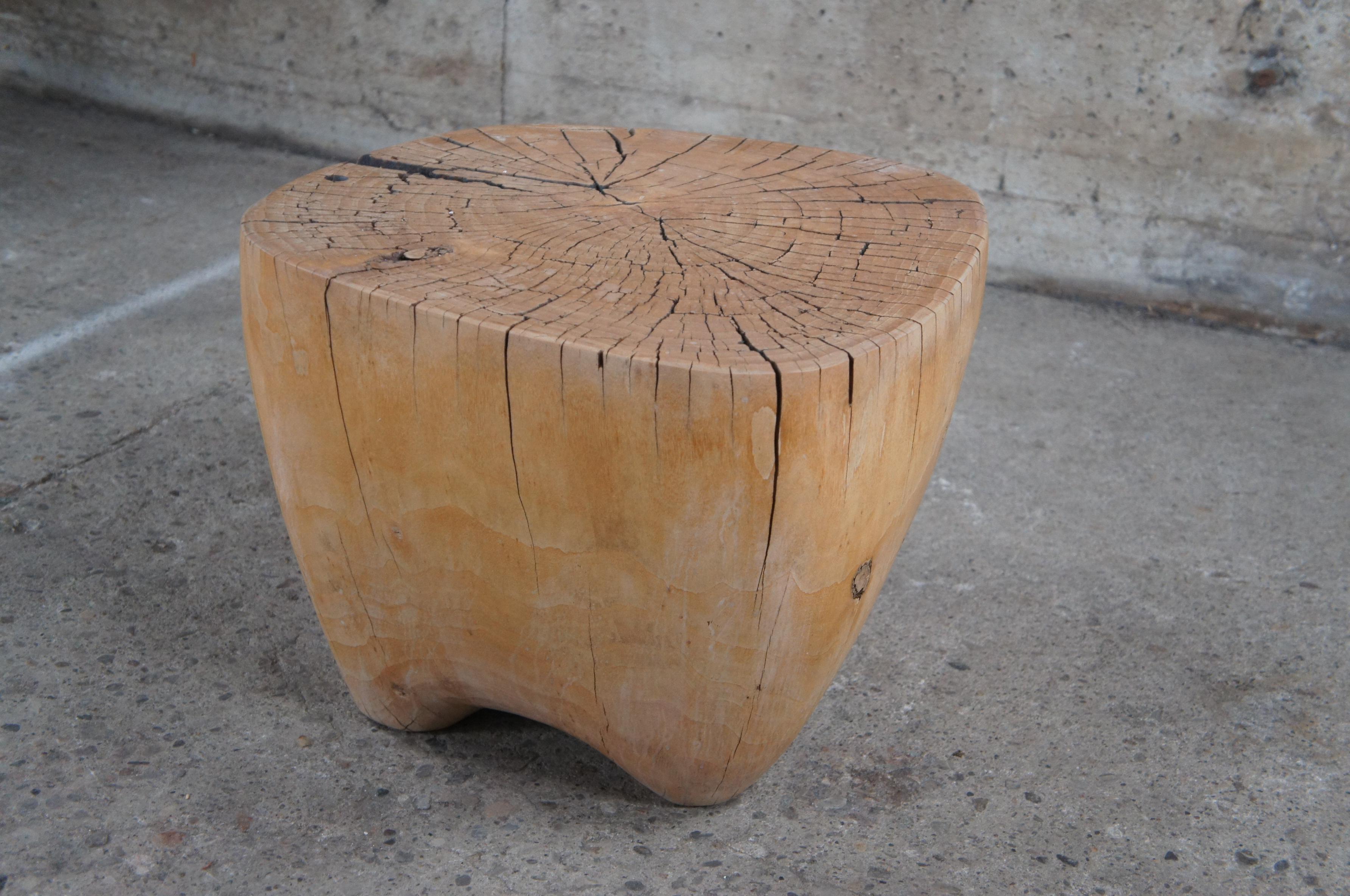 Midcentury Freeform Teak Root Side Accent Coffee Table Slab Stump Stool 4