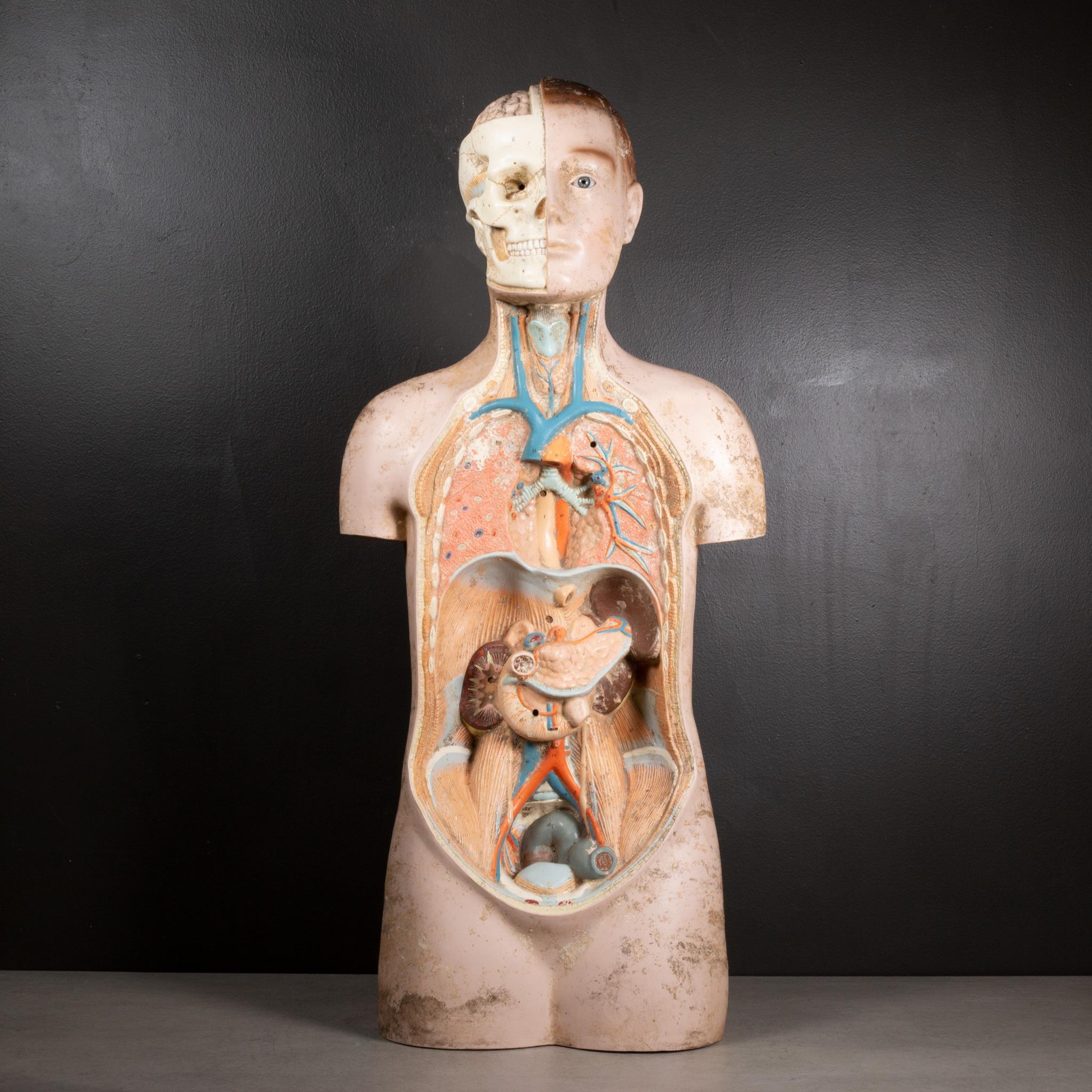 À PROPOS DE

Dispositif d'enseignement médical anatomique du corps humain datant du milieu du siècle dernier. Les organes et les muscles sont numérotés et le crâne porte des chiffres romains. Un œil de verre. La pièce a conservé sa finition