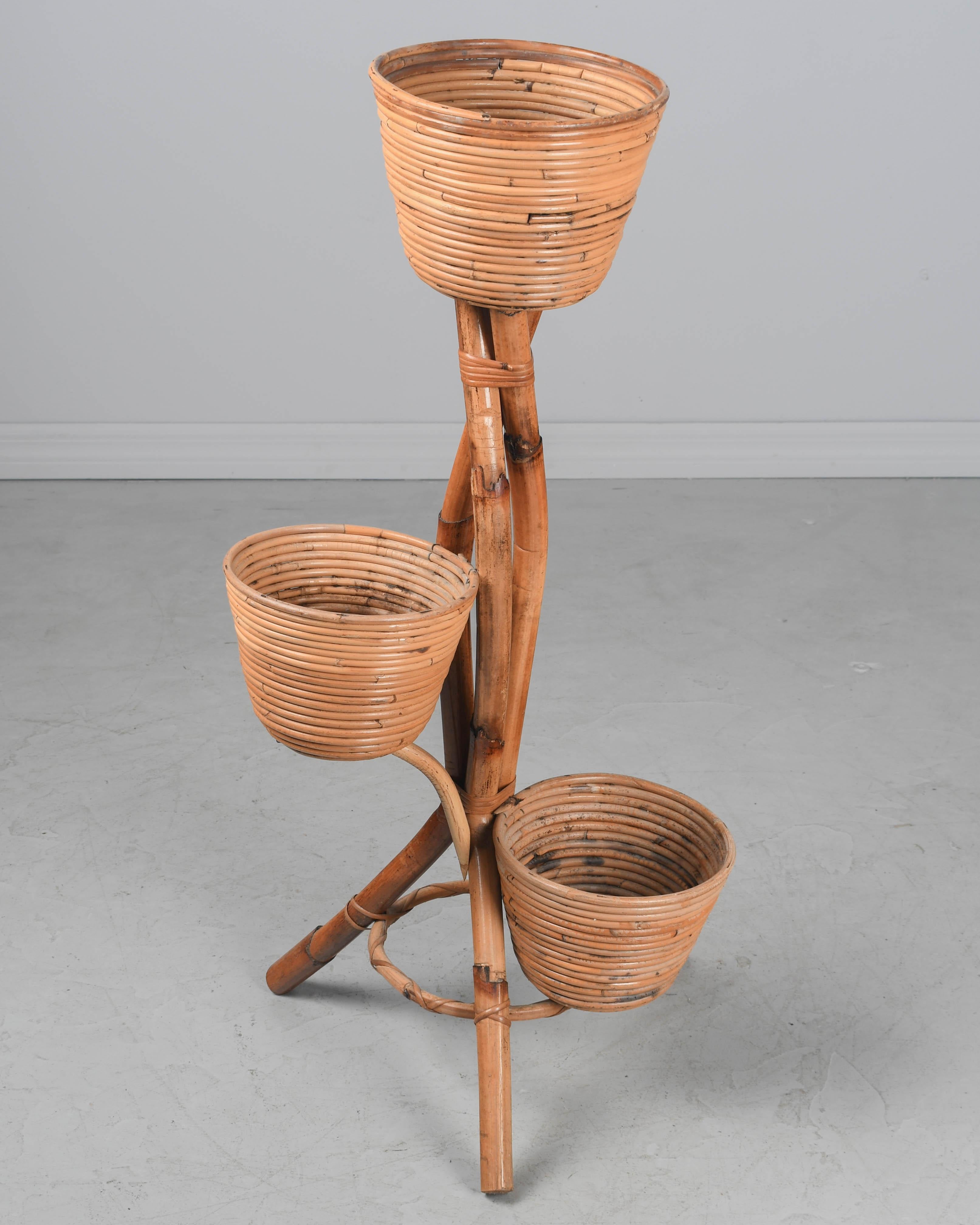 Mid Century French Bamboo & Rattan Plant Stand For Sale 4