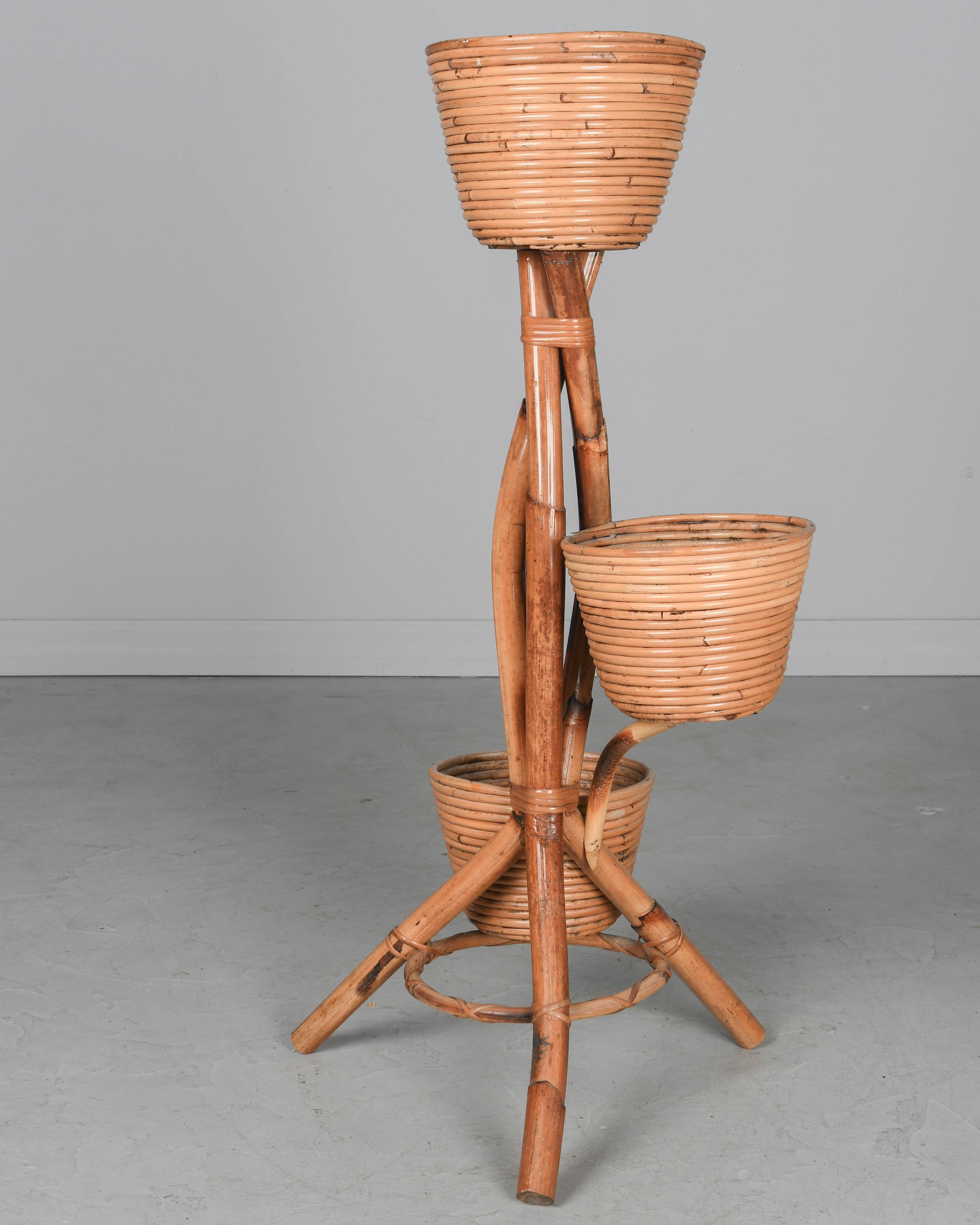 20th Century Mid Century French Bamboo & Rattan Plant Stand For Sale