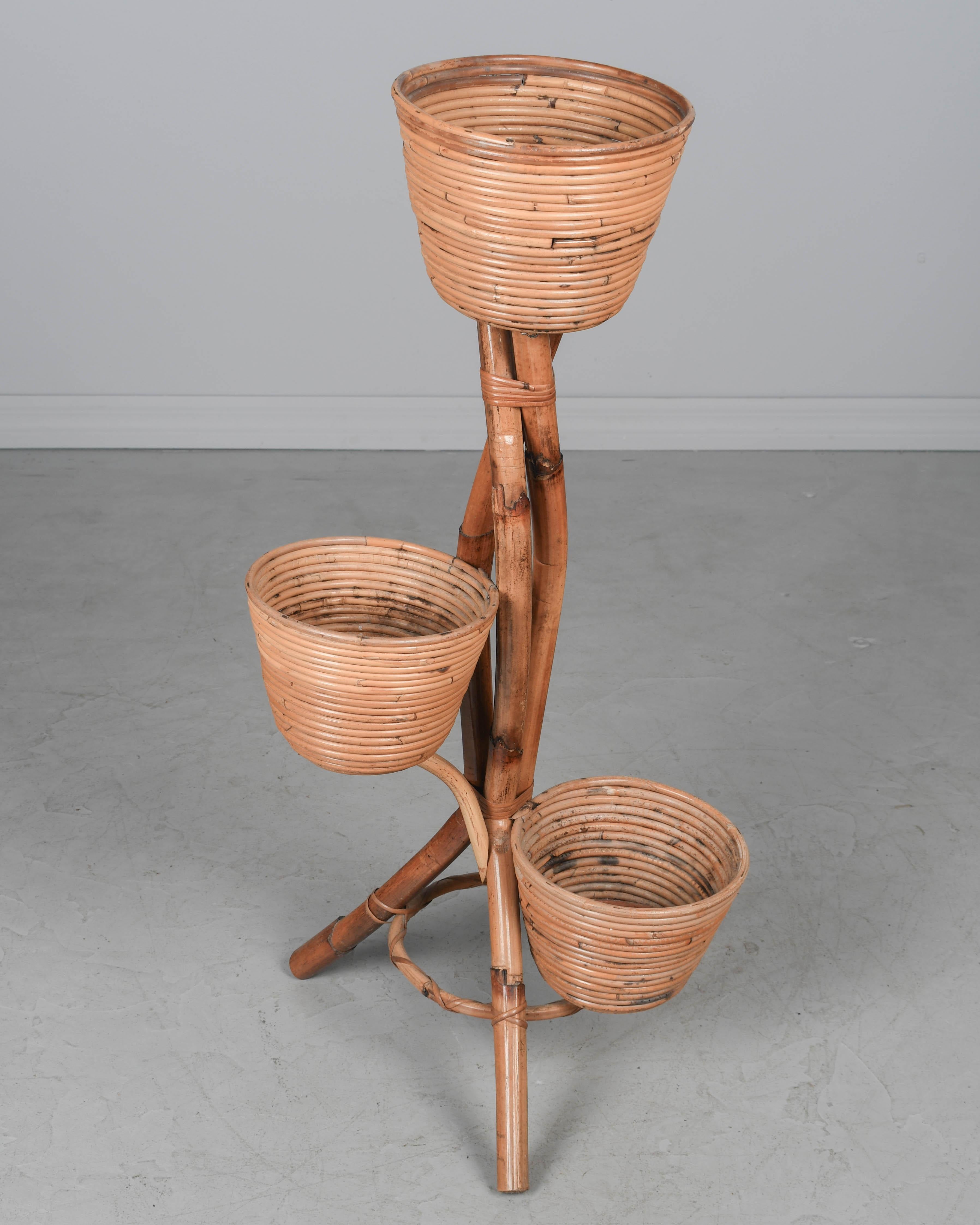 Mid Century French Bamboo & Rattan Plant Stand For Sale 1