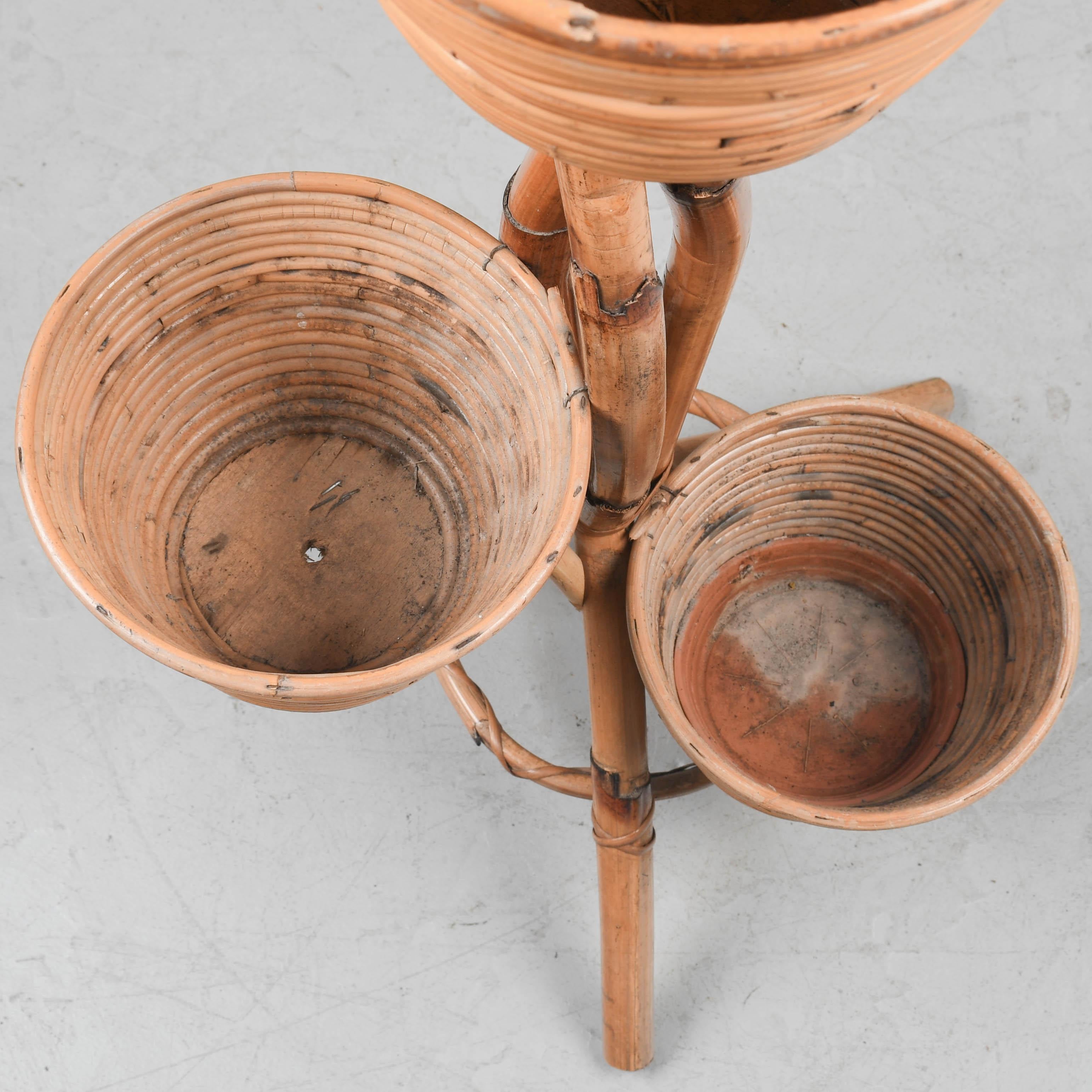 Mid Century French Bamboo & Rattan Plant Stand For Sale 3