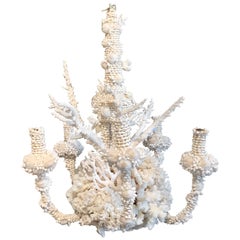 Midcentury French Coral and Seashell Chandelier
