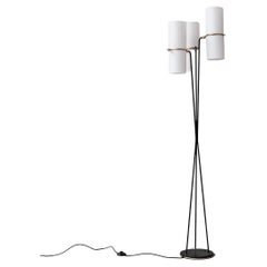 Mid-Century French Floor Lamp by Maison Lunel 