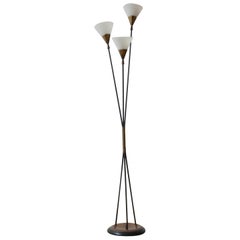 Midcentury French Floor Lamp with Opaline Glass