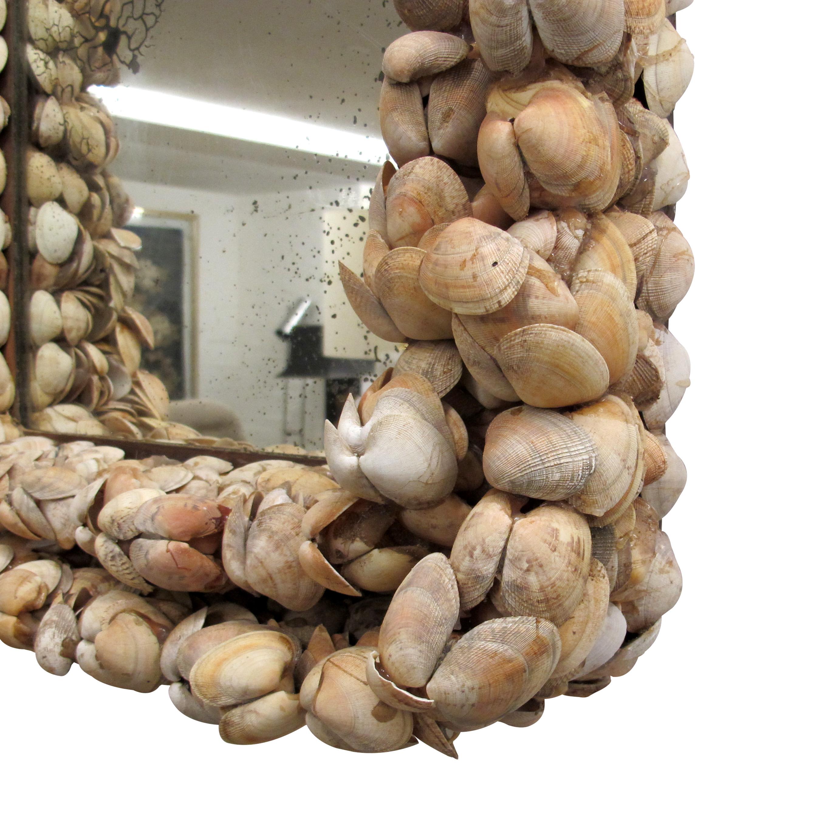 Mid-Century Modern Mid-Century French Handcrafted Clam Seashell Mirror For Sale