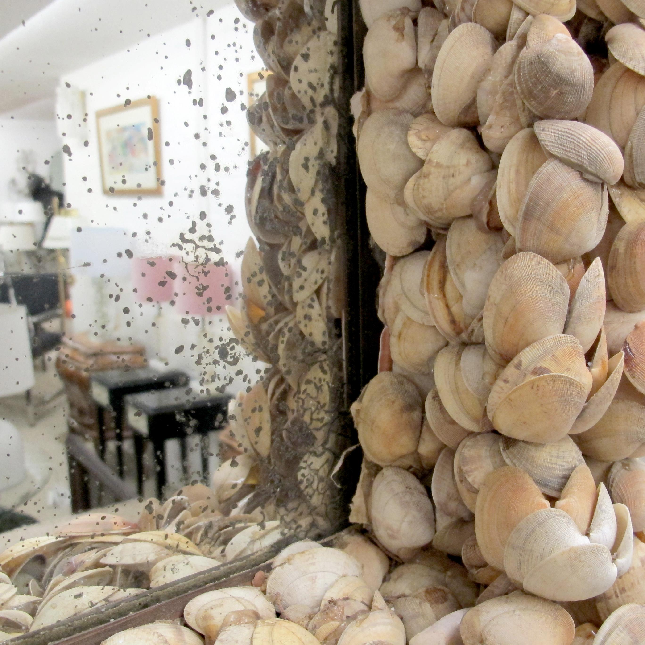 Shell Mid-Century French Handcrafted Clam Seashell Mirror For Sale