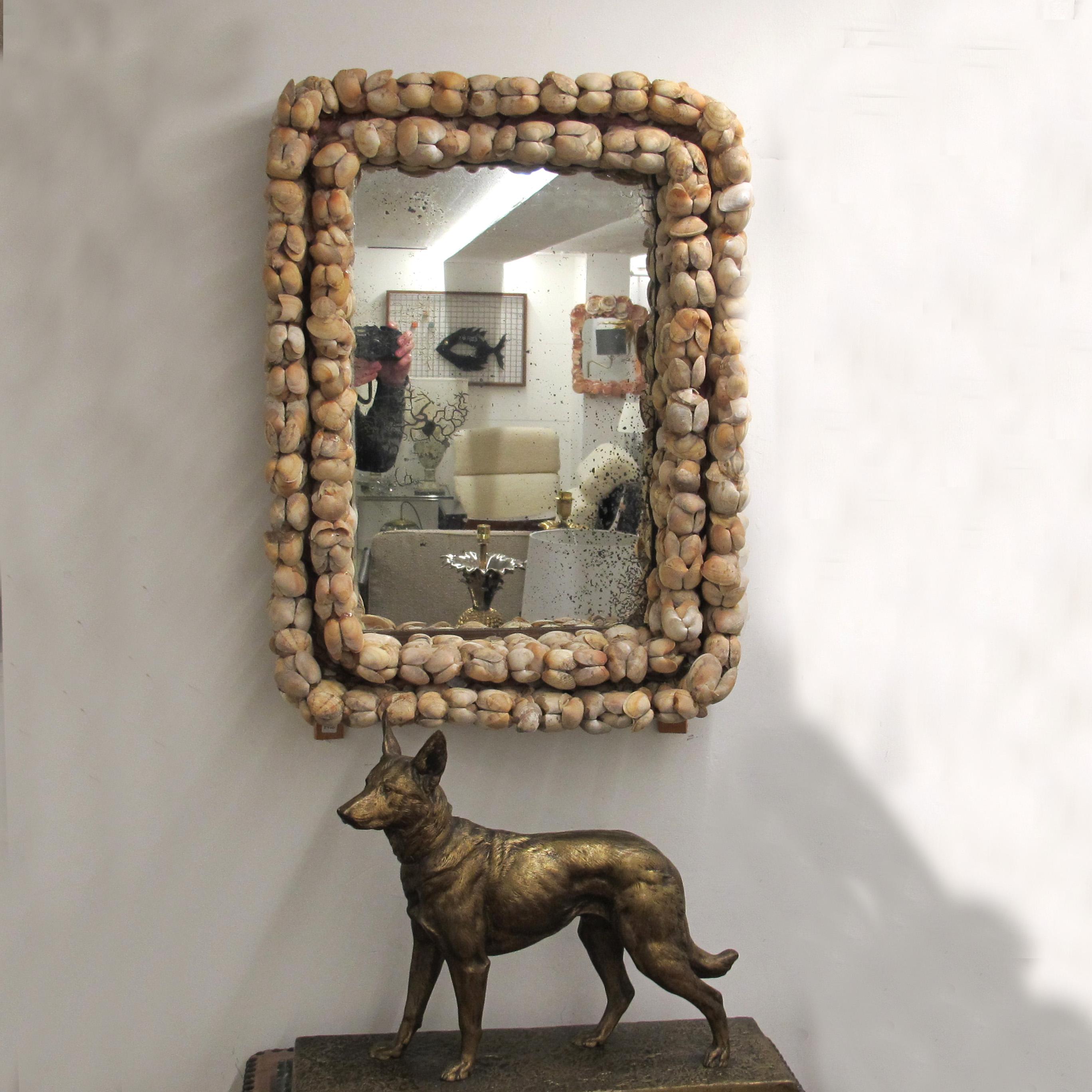 Mid-Century French Handcrafted Clam Seashell Mirror For Sale 2