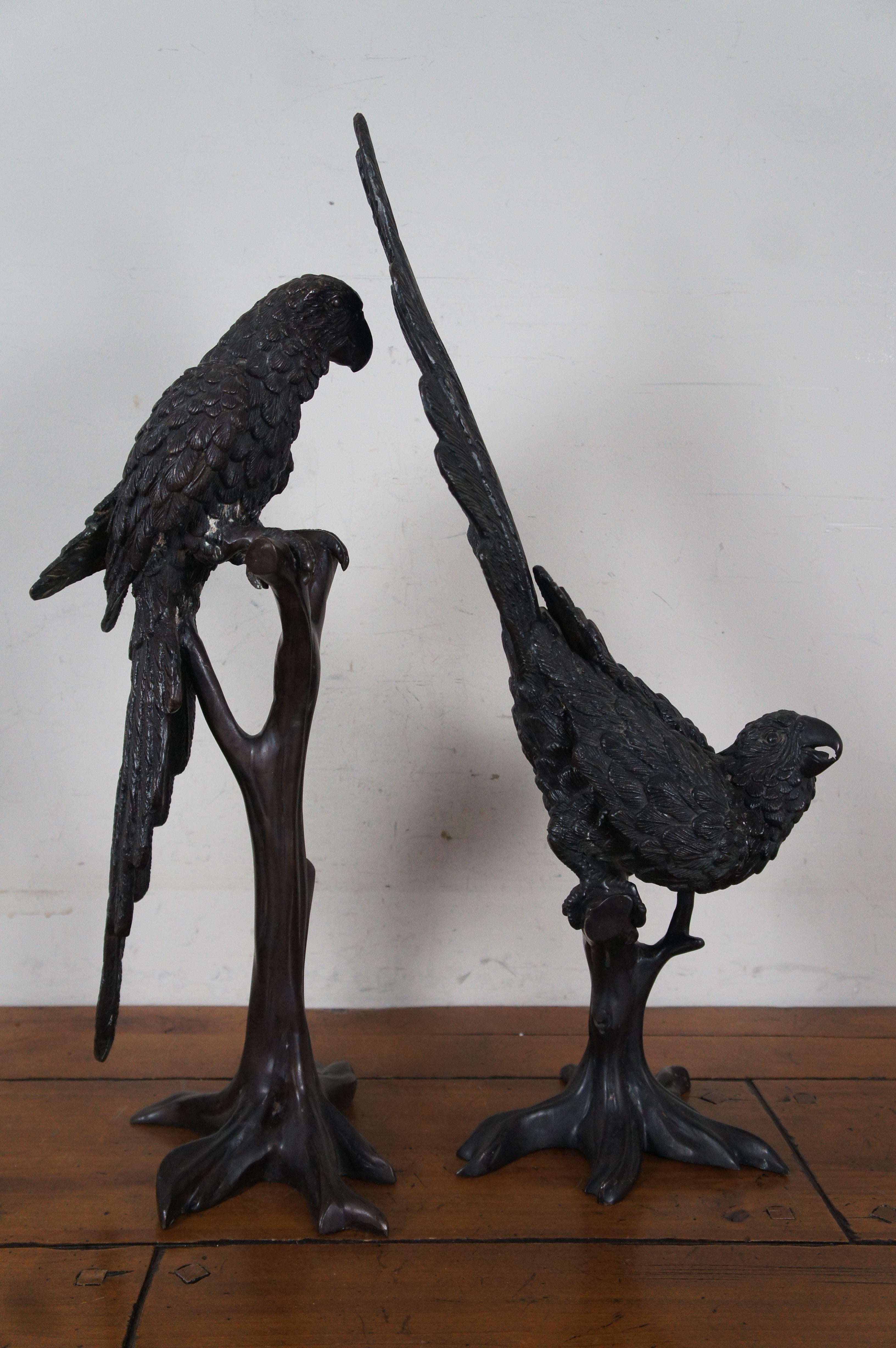 Mid Century French Kulang Bronze Macaw Parrot Bird Sculptures Statues 27