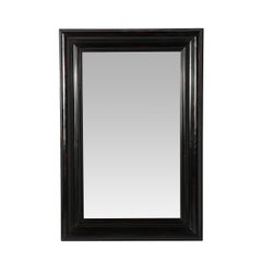 Mid-Century French Polished Tortoise Hue Finish Molding Mirror by Karl Springer