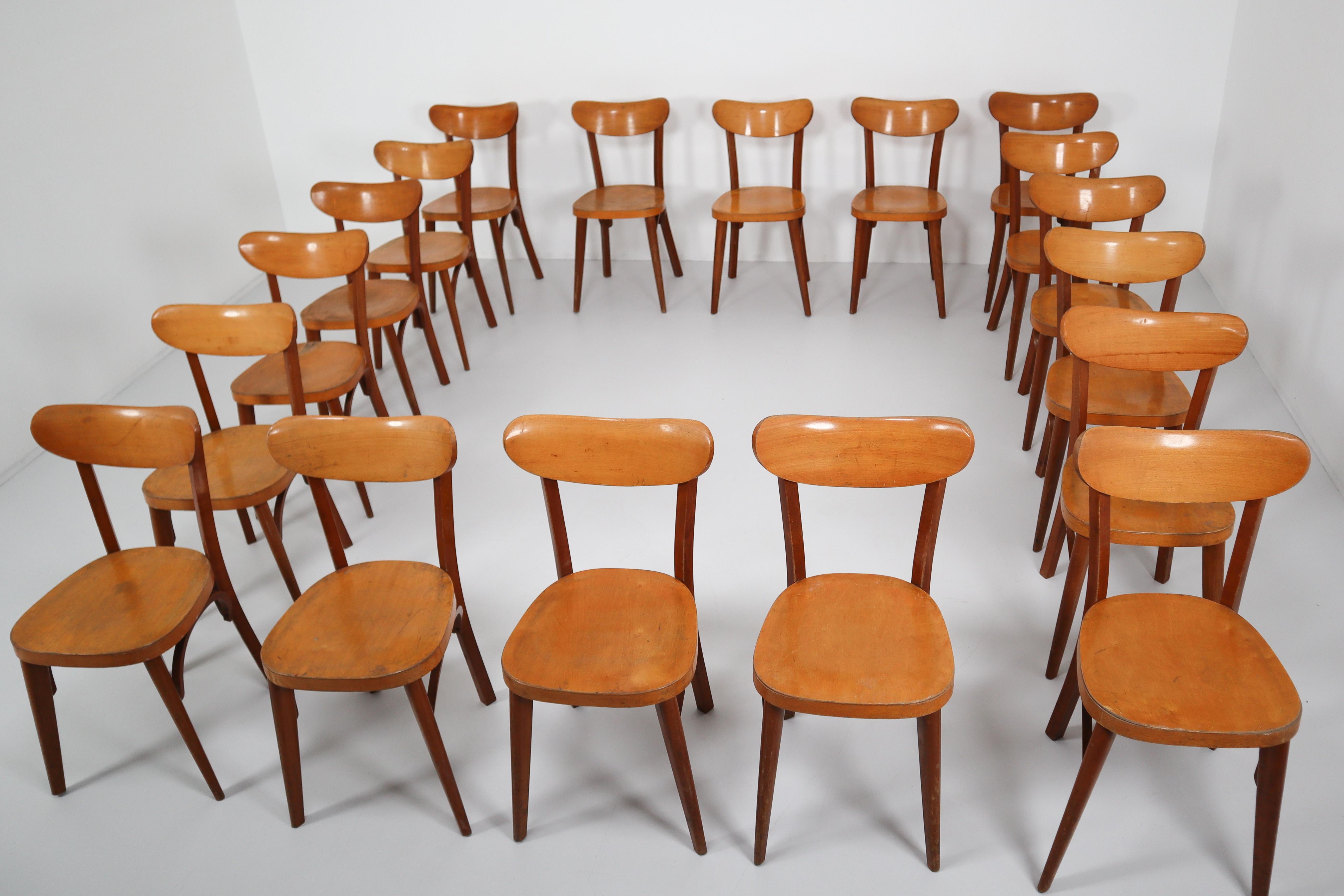 20th Century Midcentury French Set of 20 Bistro or Cafe Wooden Chairs, 1950s