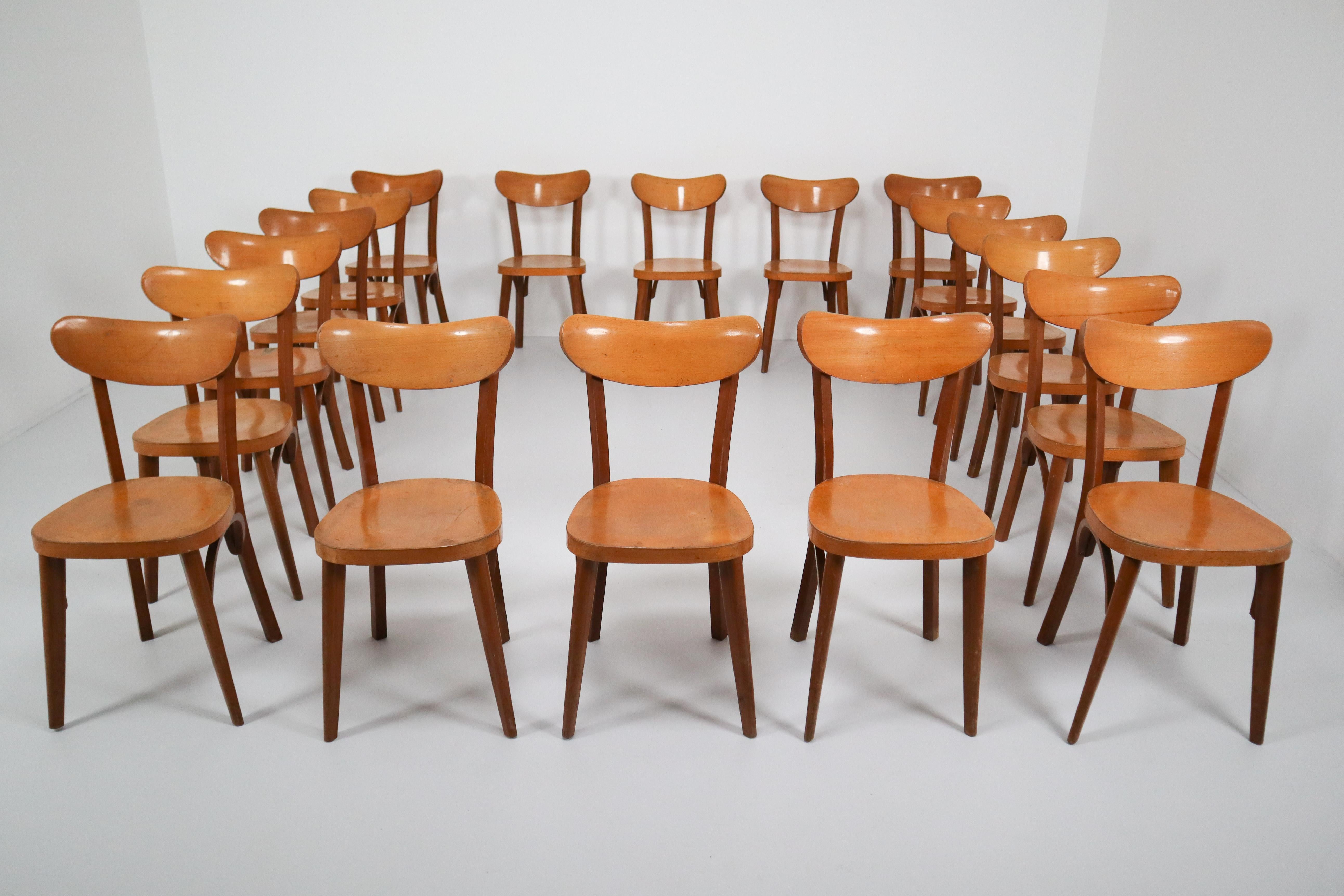 Beech Midcentury French Set of 20 Bistro or Cafe Wooden Chairs, 1950s