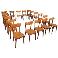 Retro Midcentury French Set of 20 Bistro or Cafe Wooden Chairs, 1950s