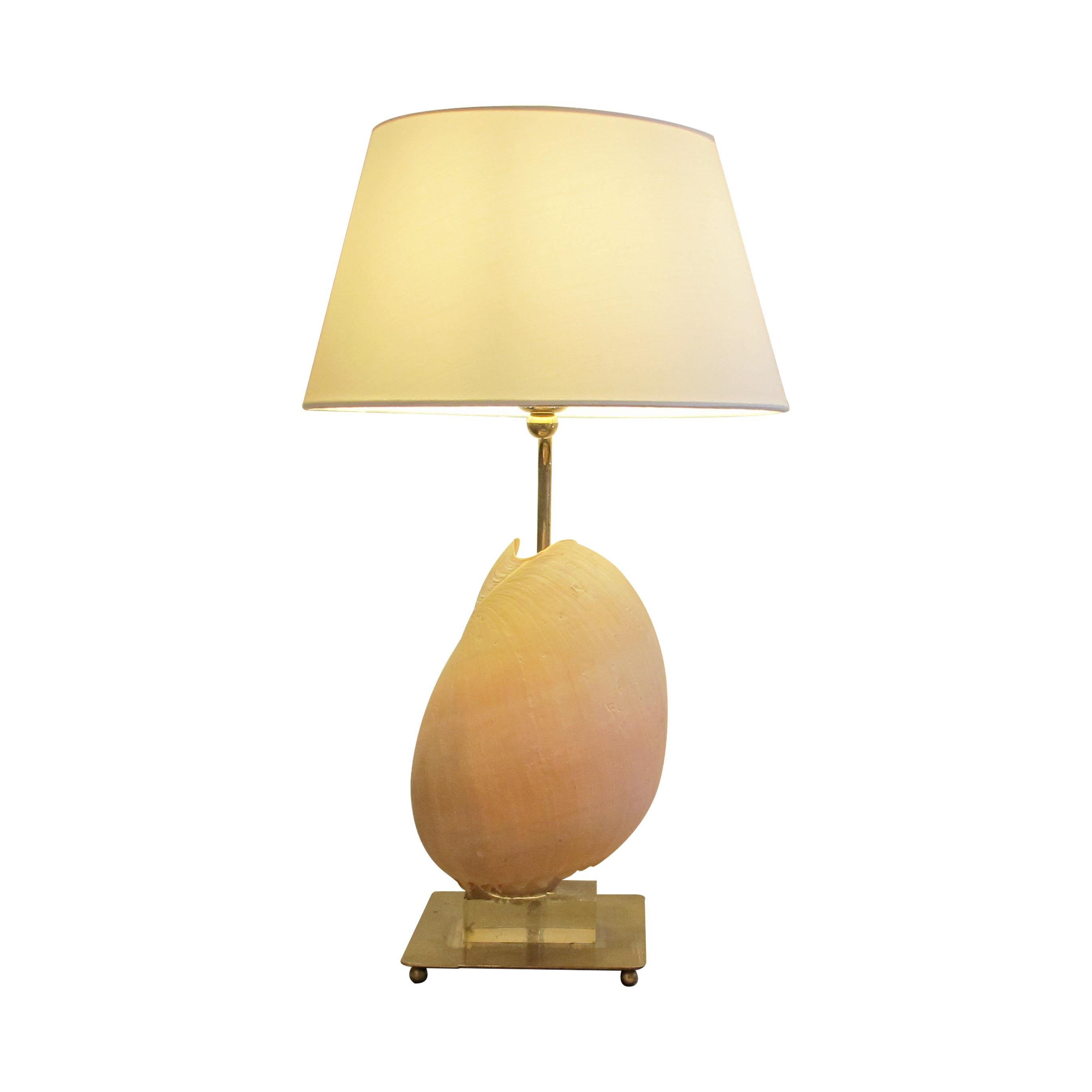 An elegant mid-century table lamp from France, circa 1950s, featuring a natural conch shell mounted on a clear Lucite square base, set within a polished brass frame. The shell’s organic form and soft pink tones contrast beautifully with the brass