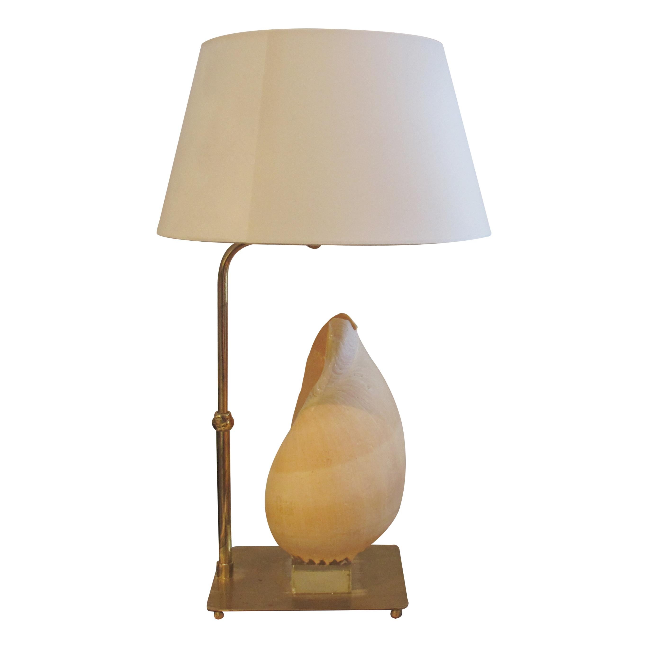 Mid-Century Modern Mid-Century French Shell Table Lamp, 1950s