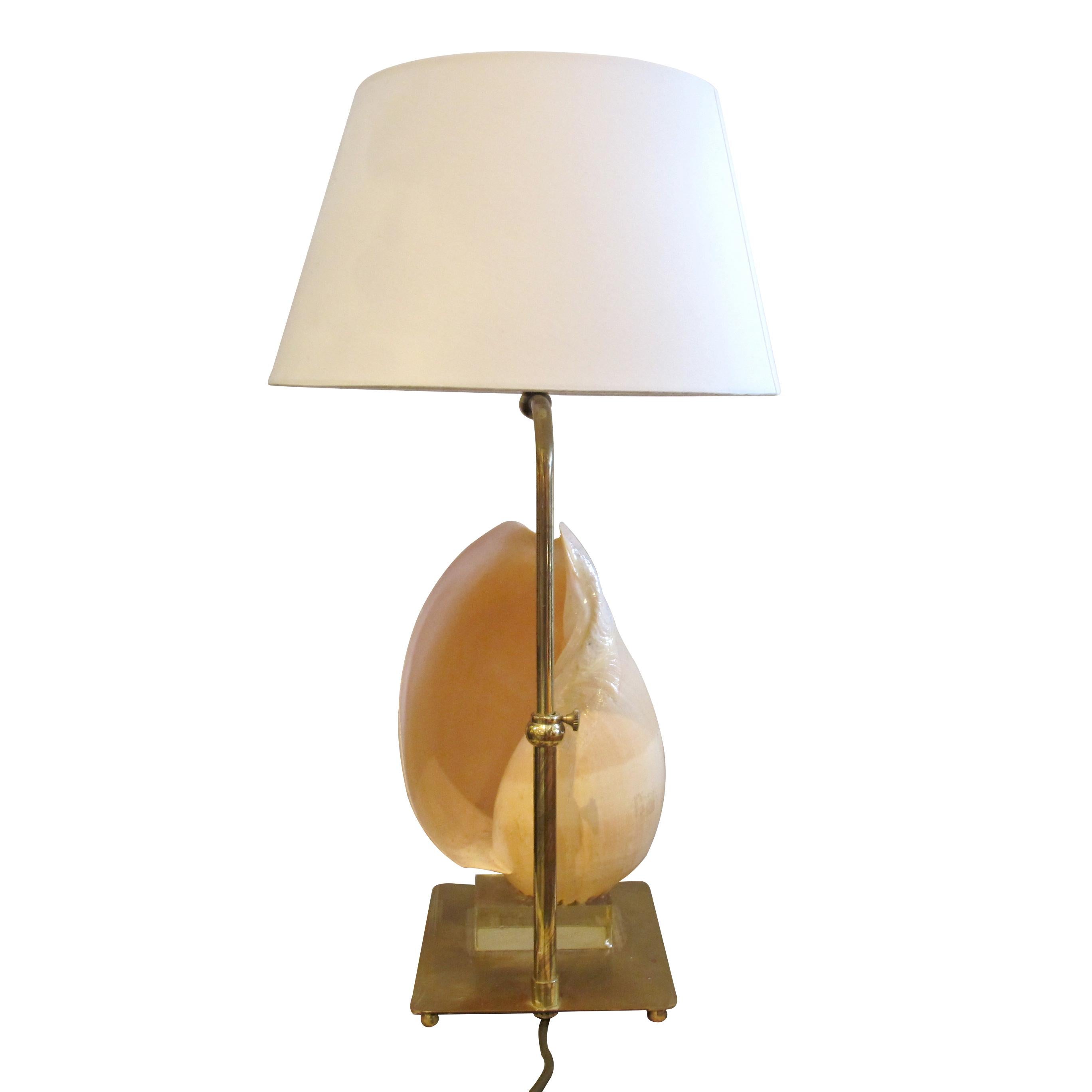 Other Mid-Century French Shell Table Lamp, 1950s