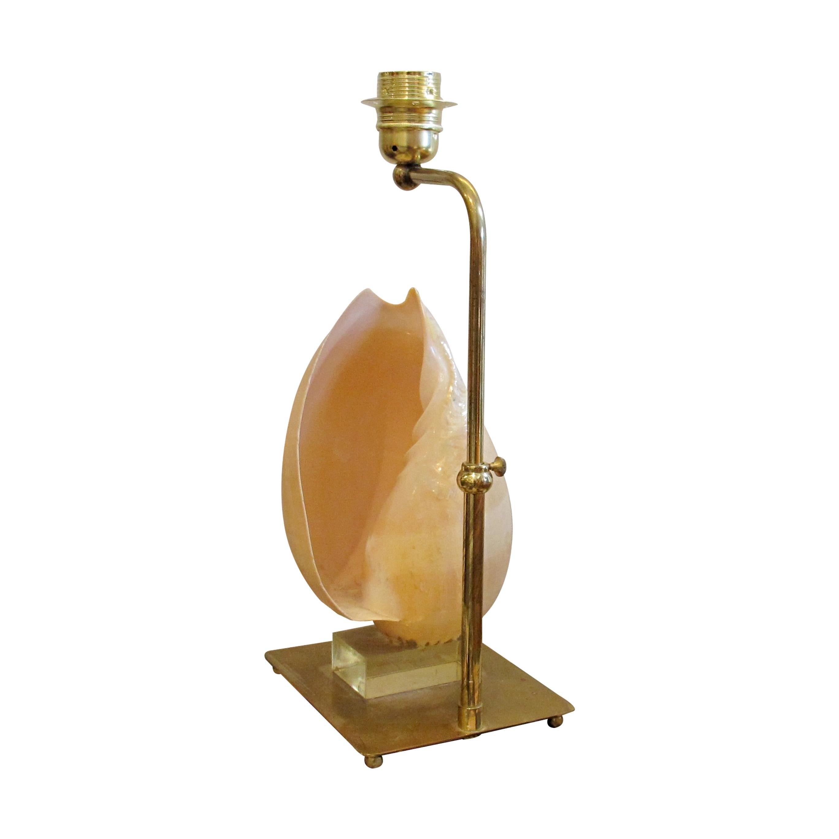 Mid-Century French Shell Table Lamp, 1950s In Good Condition In London, GB