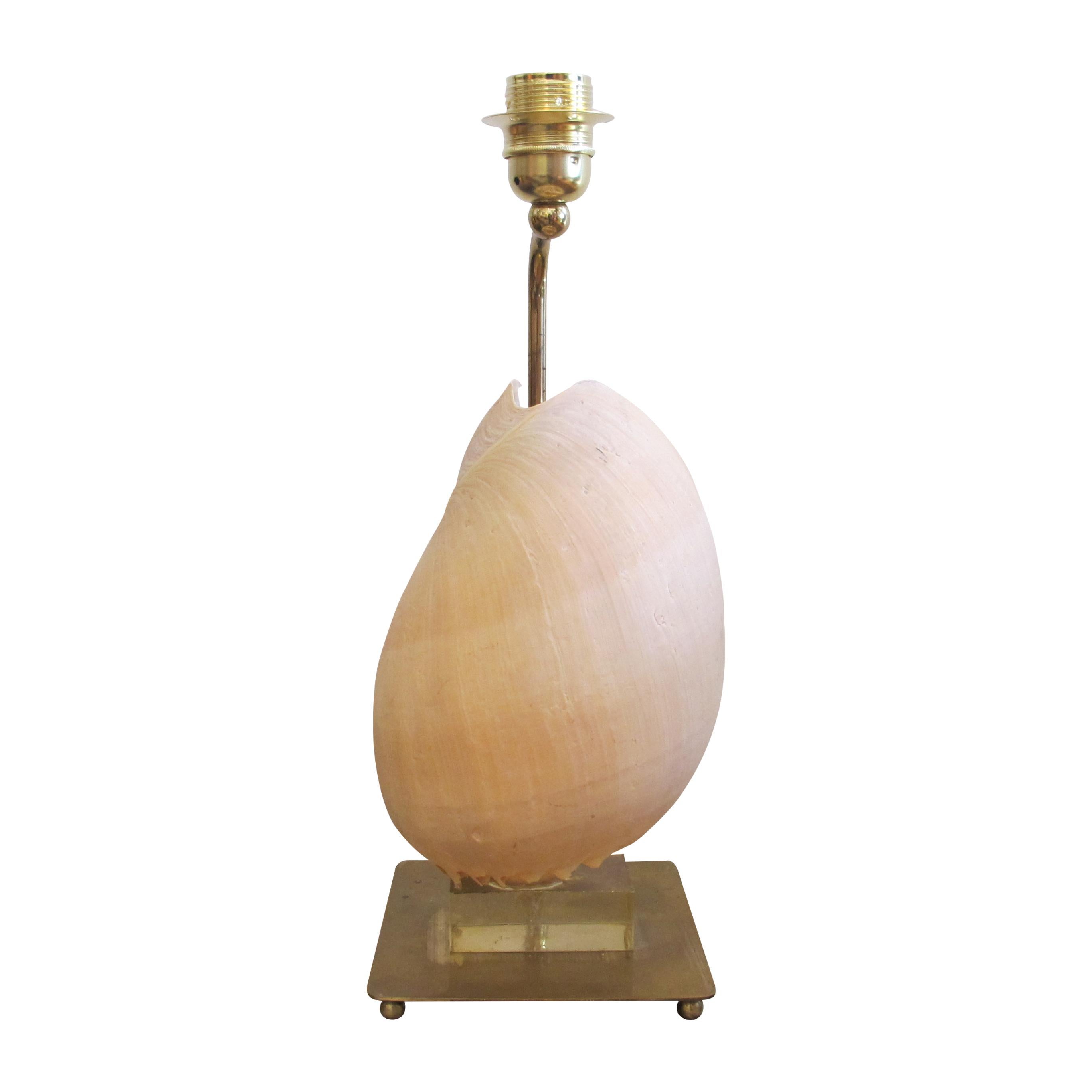 Mid-20th Century Mid-Century French Shell Table Lamp, 1950s