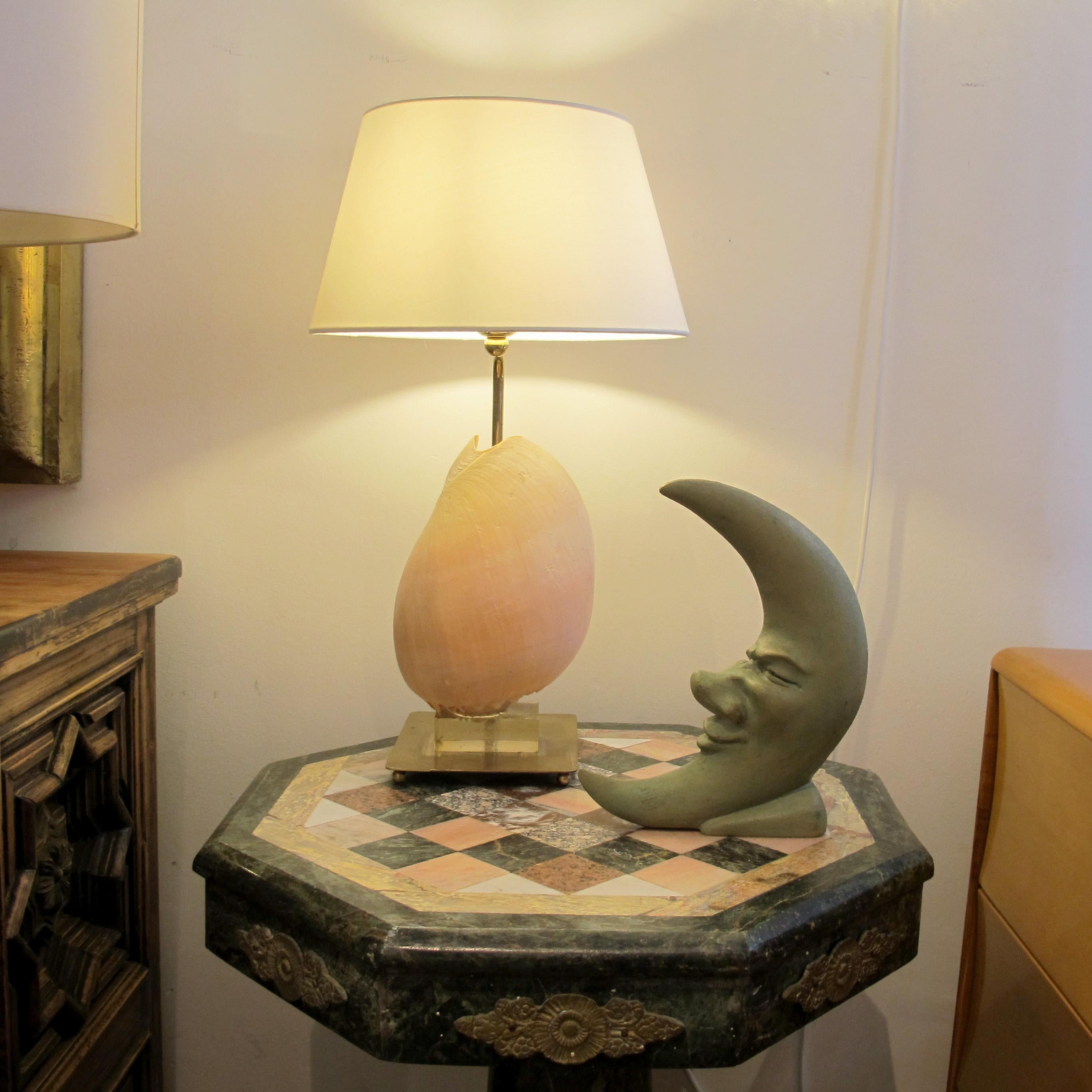 Brass Mid-Century French Shell Table Lamp, 1950s
