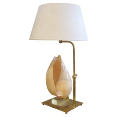 Mid-Century French Shell Table Lamp, 1950s