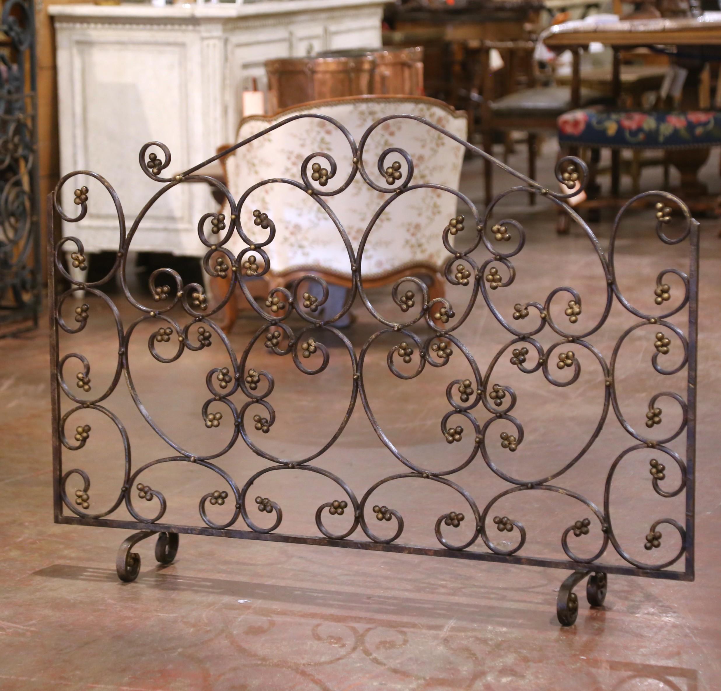 Mid-Century French Wrought Iron Decorative Fire Screen with Gilded Rosettes In Excellent Condition For Sale In Dallas, TX