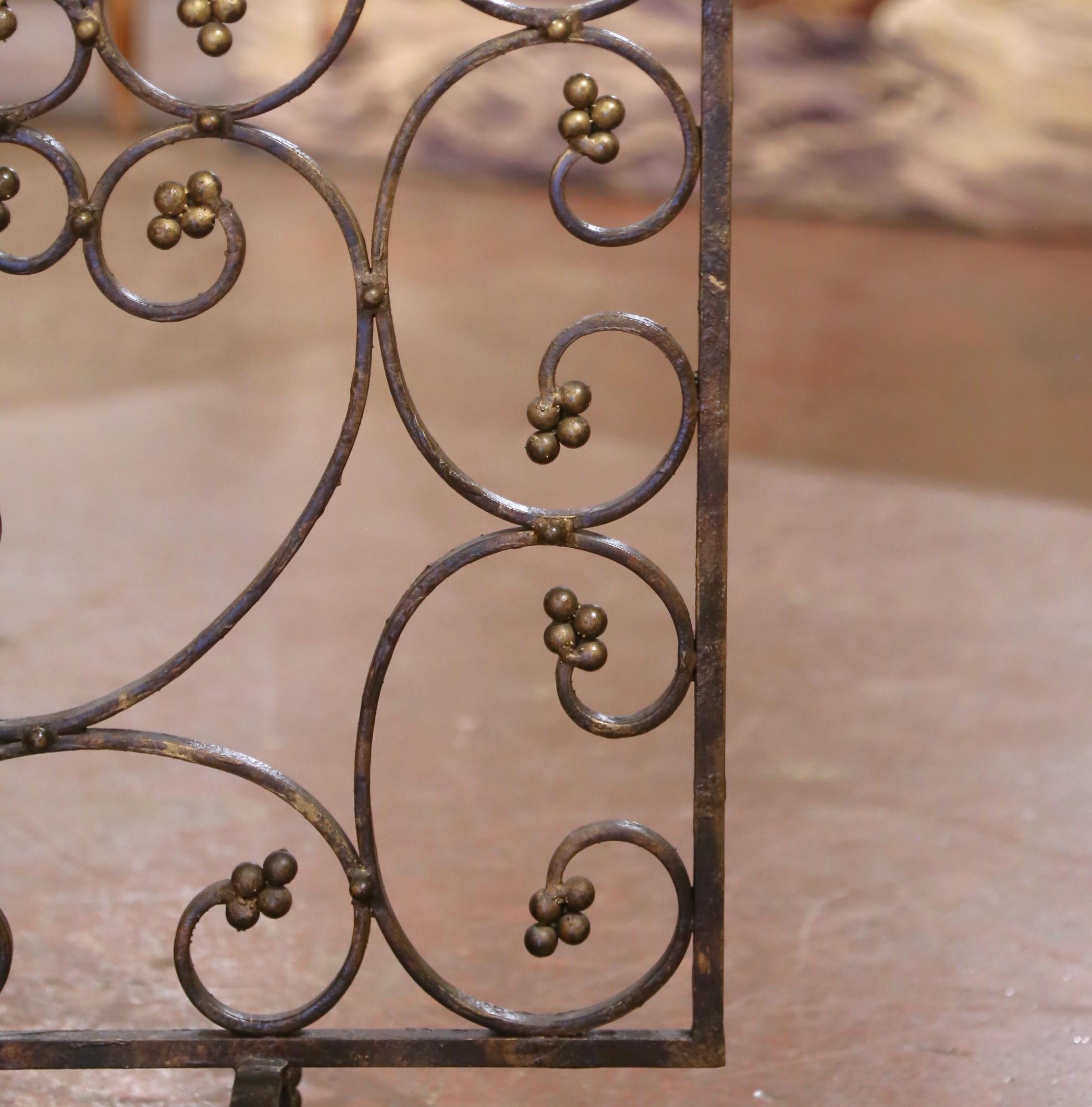 20th Century Mid-Century French Wrought Iron Decorative Fire Screen with Gilded Rosettes For Sale