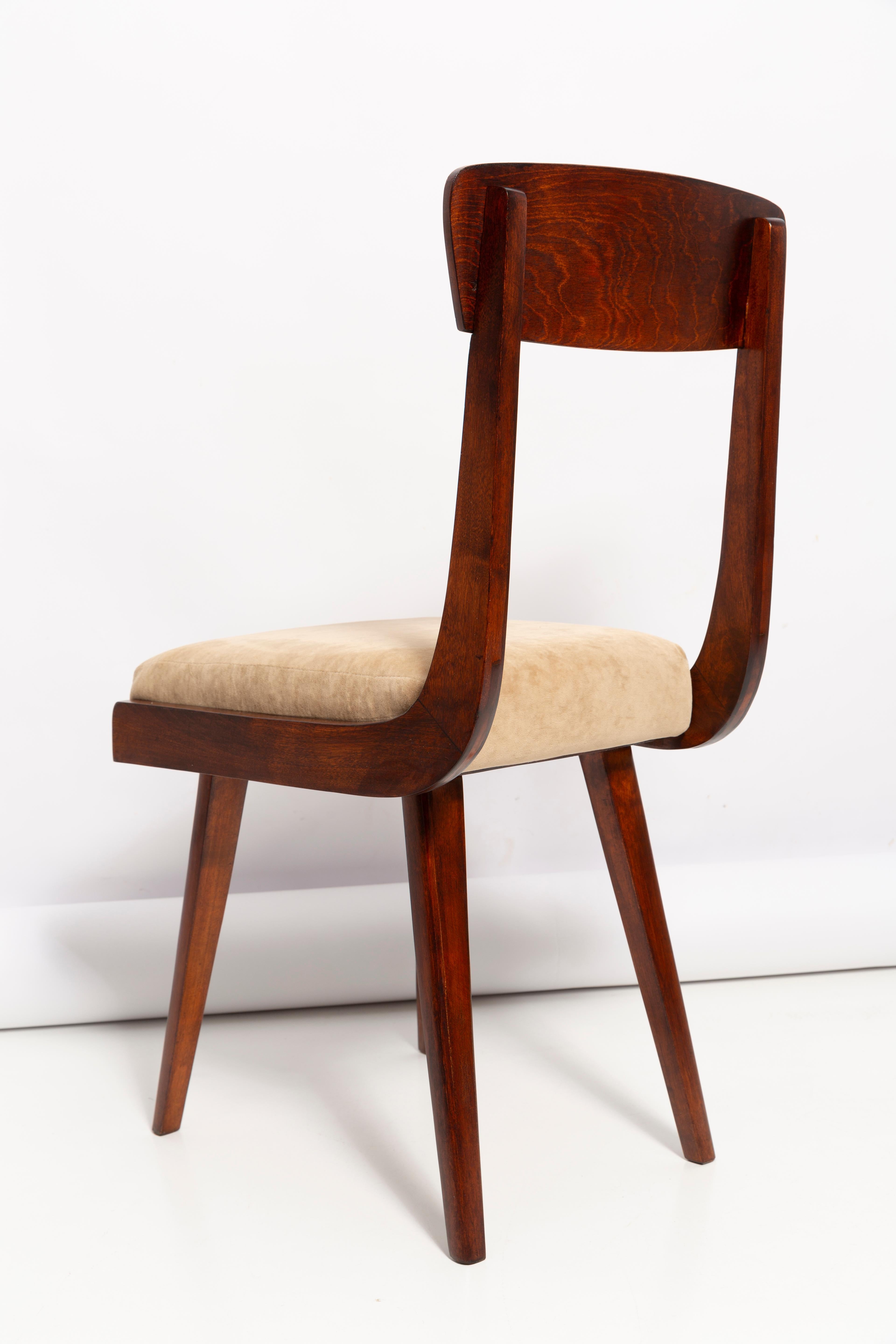 Mid Century Gazelle Beige Wood Chair, Europe, 1960s For Sale 3