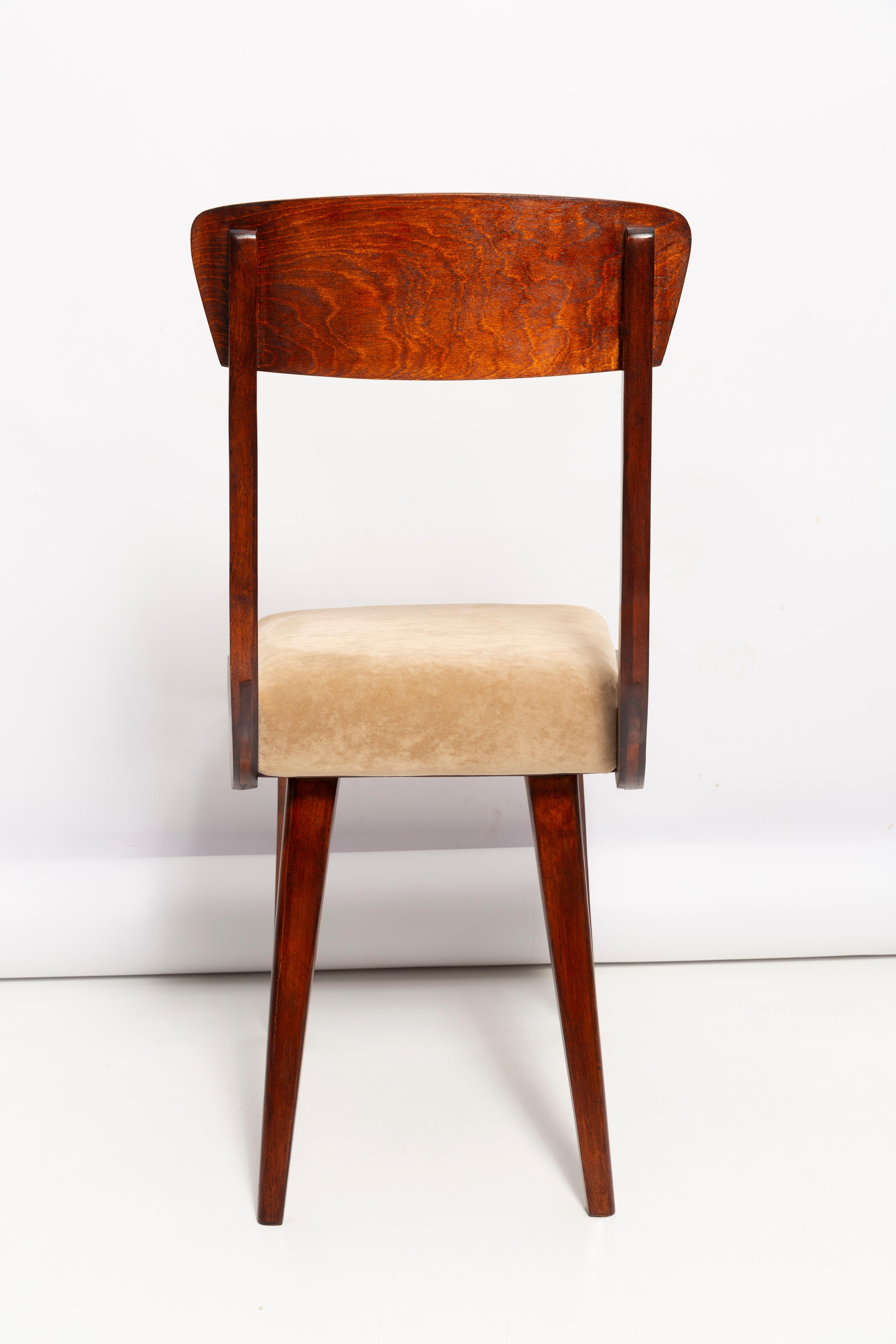 Mid Century Gazelle Beige Wood Chair, Europe, 1960s For Sale 4