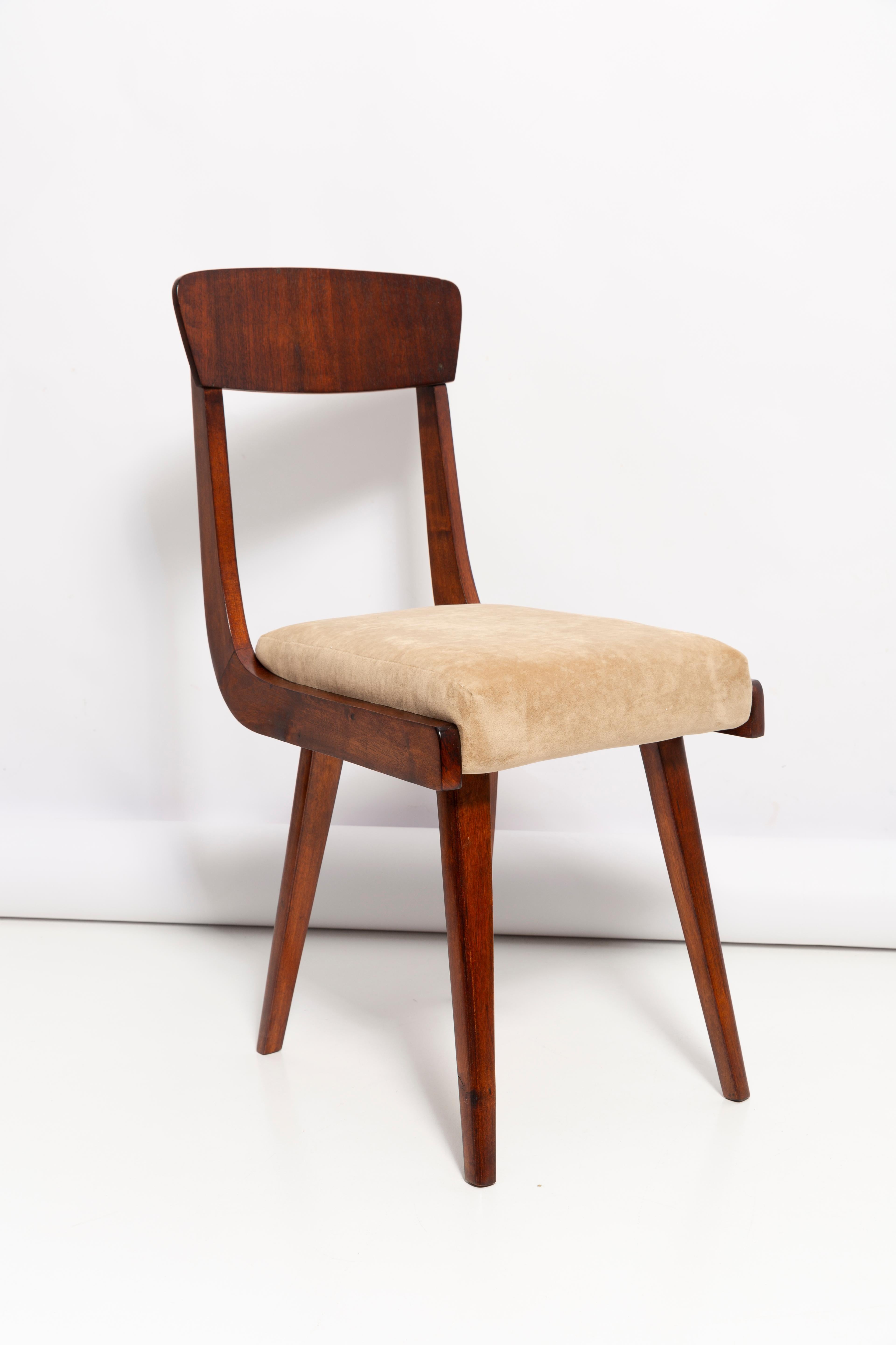 Stühle entworfen von Prof. Rajmund Halas. Sie wurden aus Buchenholz hergestellt. Sie wurden komplett neu gepolstert, die Holzarbeiten wurden aufgefrischt. Die Sitze waren mit beigem, weichem Samt bezogen. Sie sind stabil und sehr formschön. Die