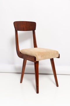 Sedia Gazelle Beige Wood del Mid Century, Europa, anni '60