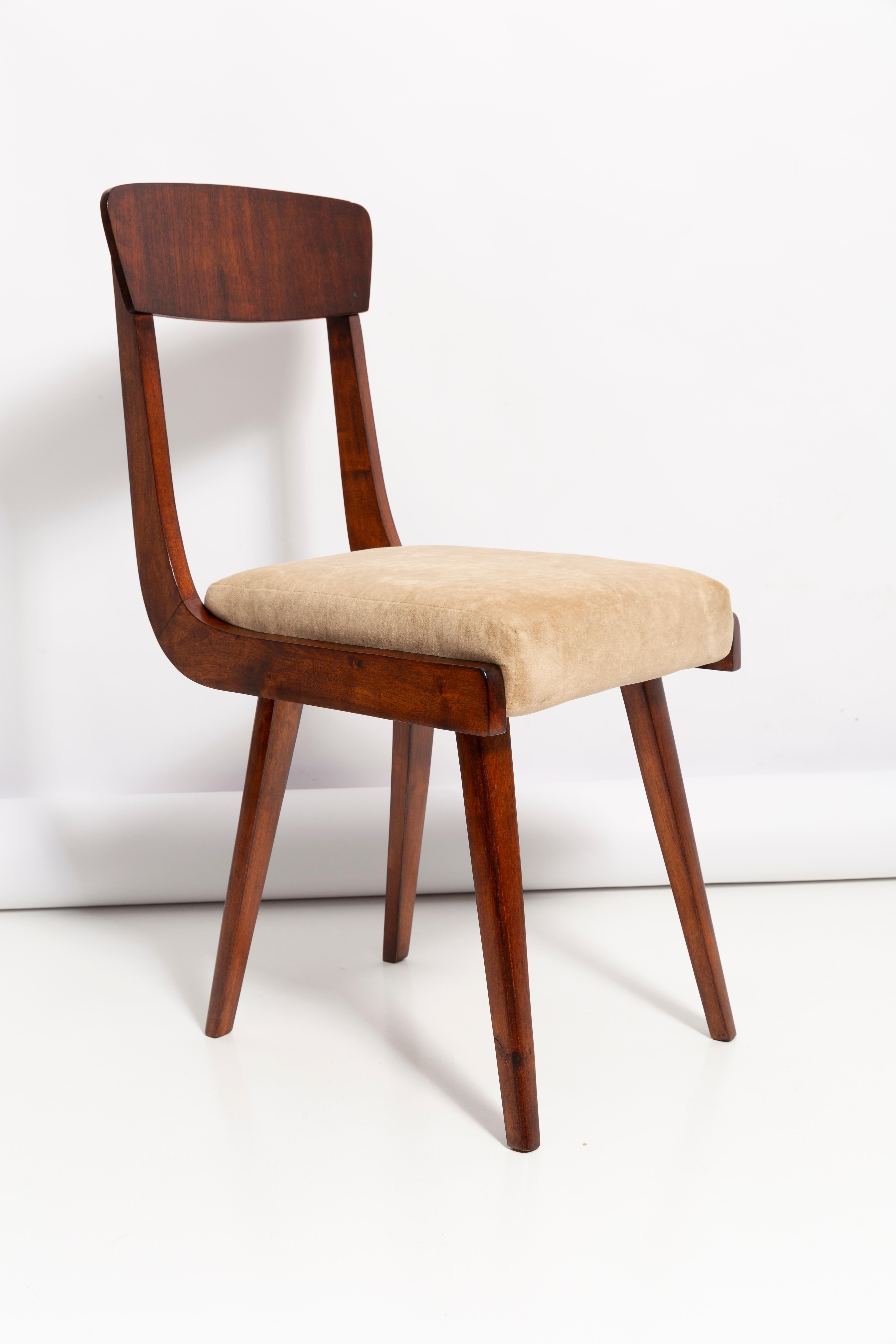 Mid-Century Modern Mid Century Gazelle Beige Wood Chair, Europe, 1960s For Sale