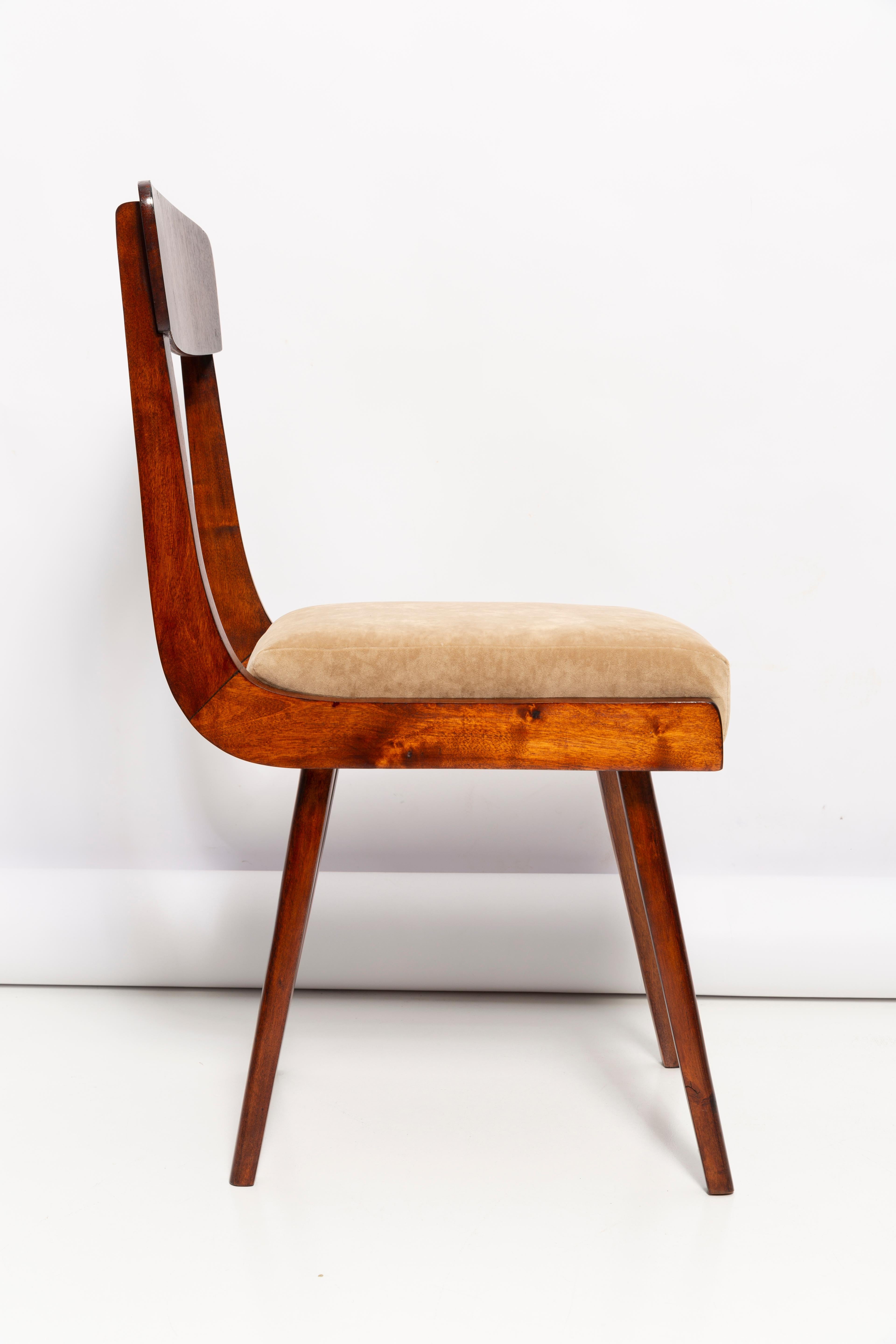 Polish Mid Century Gazelle Beige Wood Chair, Europe, 1960s For Sale