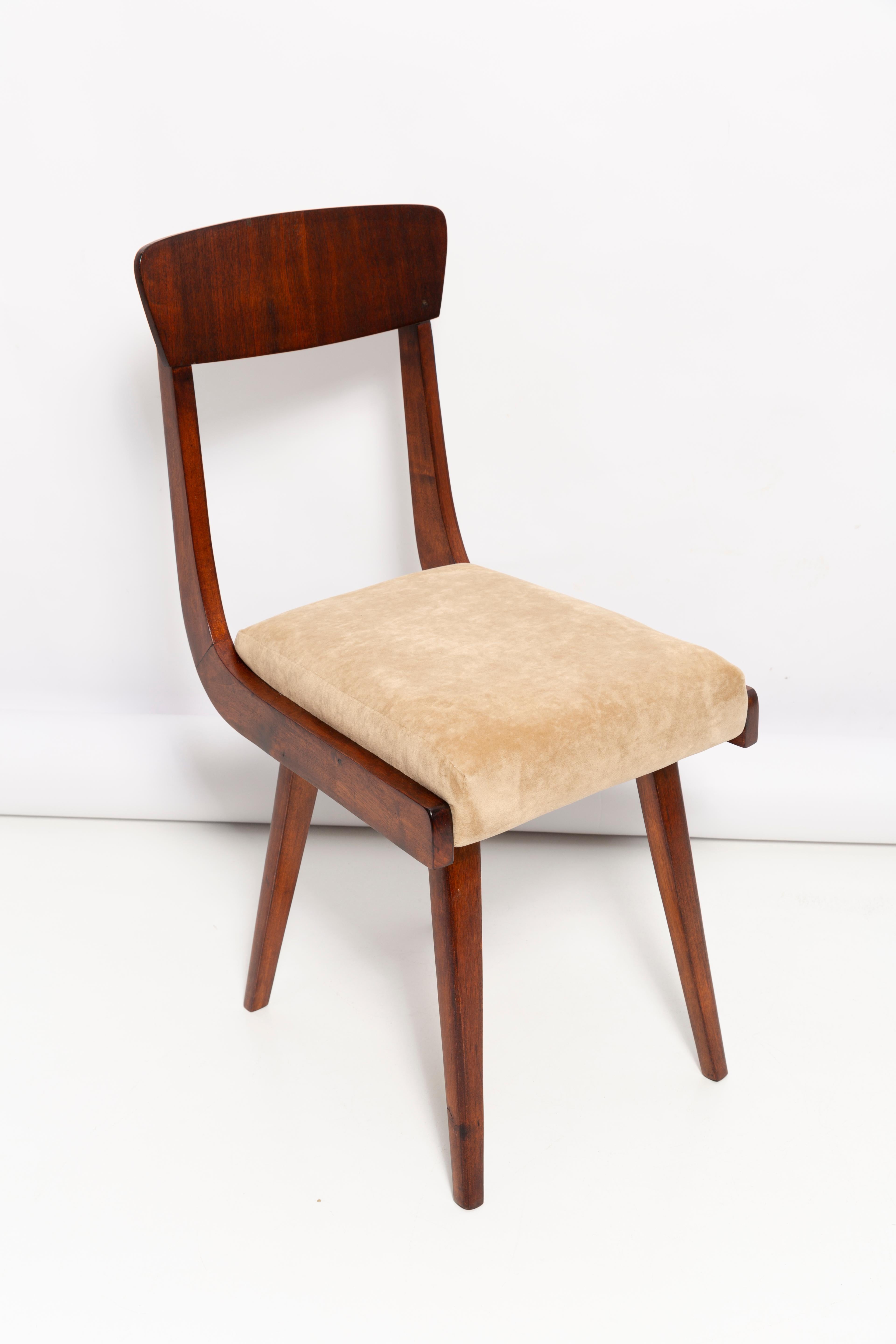 Hand-Crafted Mid Century Gazelle Beige Wood Chair, Europe, 1960s For Sale