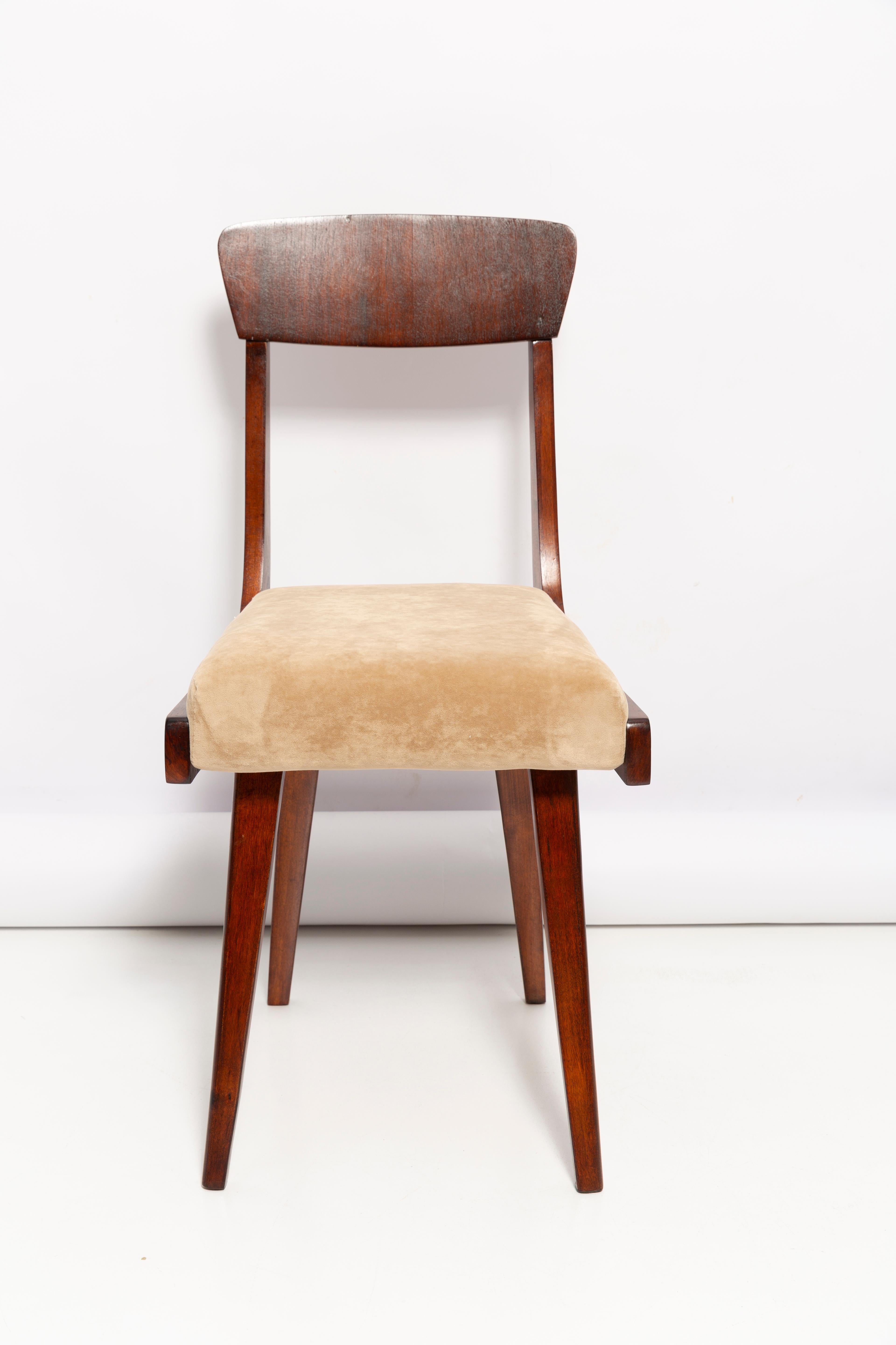 Mid Century Gazelle Beige Wood Chair, Europe, 1960s In Excellent Condition For Sale In 05-080 Hornowek, PL